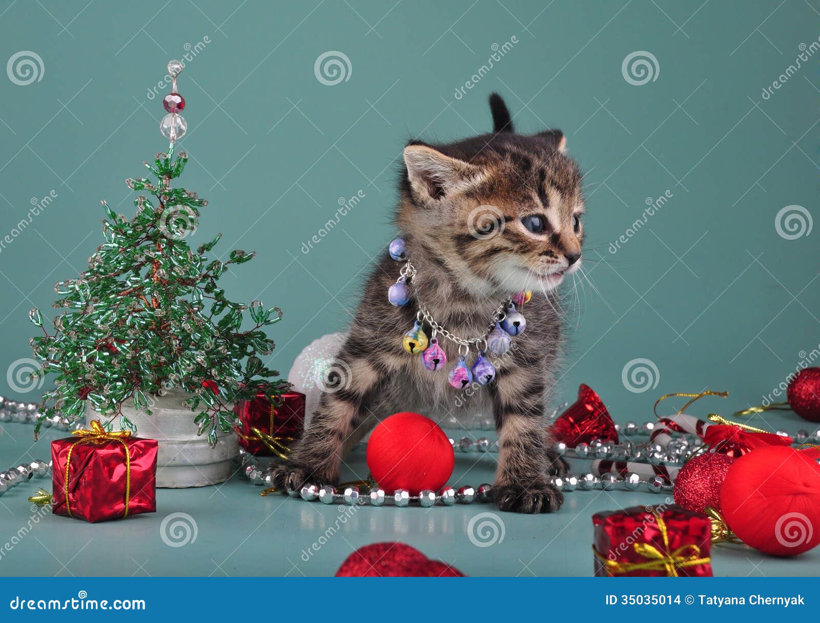 Small Kitten Among Christmas Stuff Stock Images - Image 