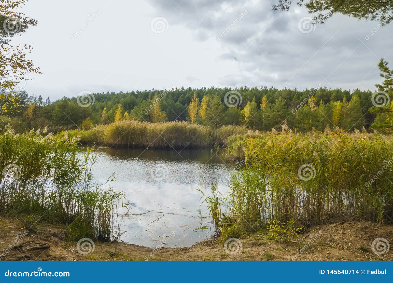 https://thumbs.dreamstime.com/z/small-lake-forest-autumn-season-145640714.jpg