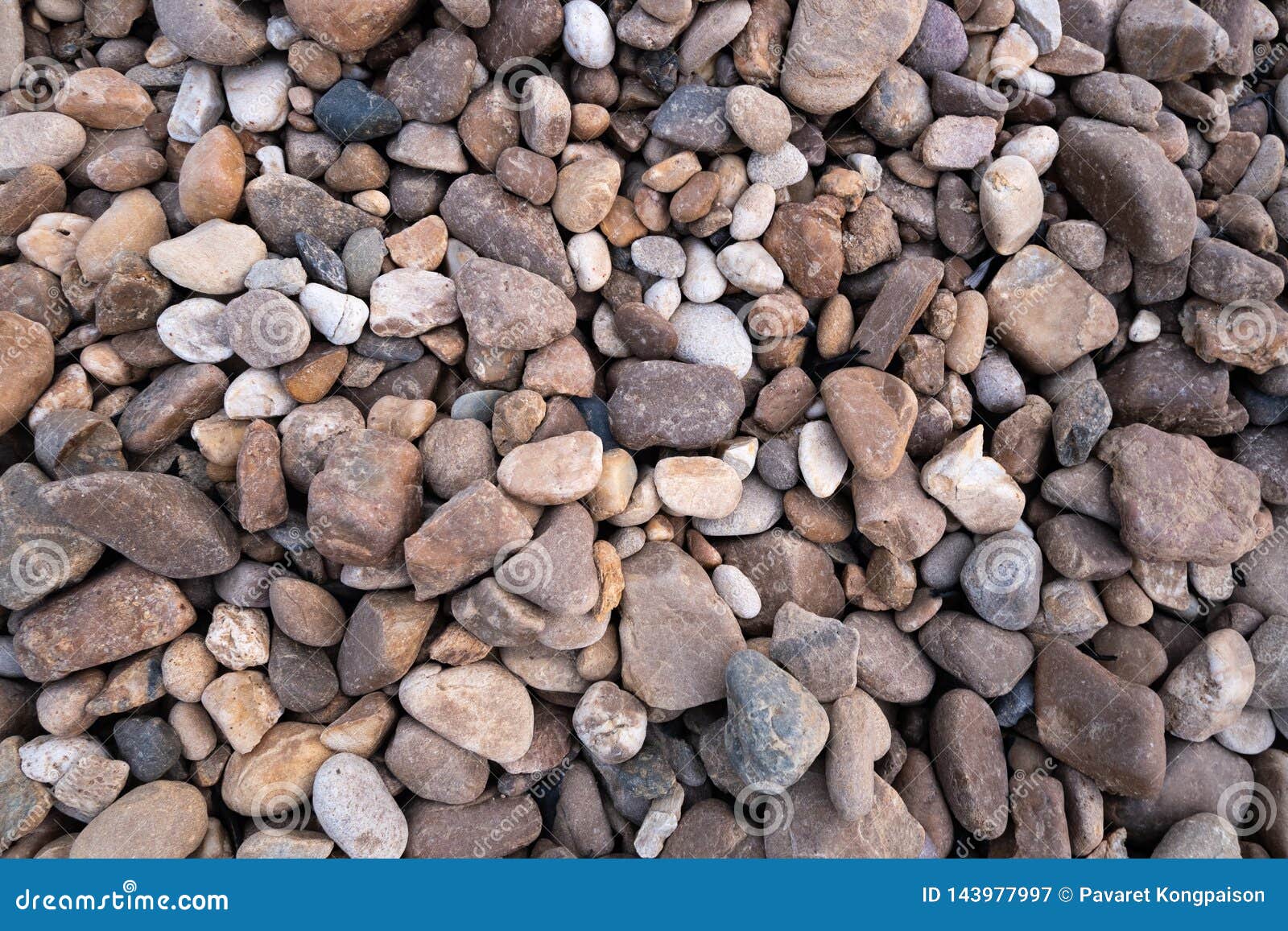 Small and Large Pebbles for the Background Stock Image Image of color