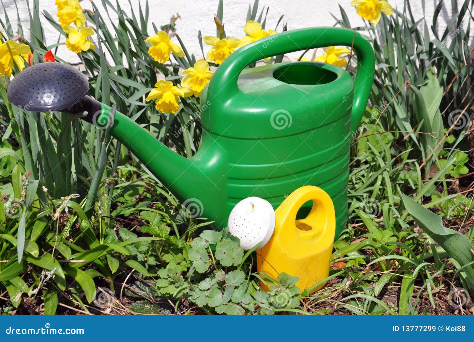 Small and Large WateringCan Stock Image Image of tool, plastic 13777299