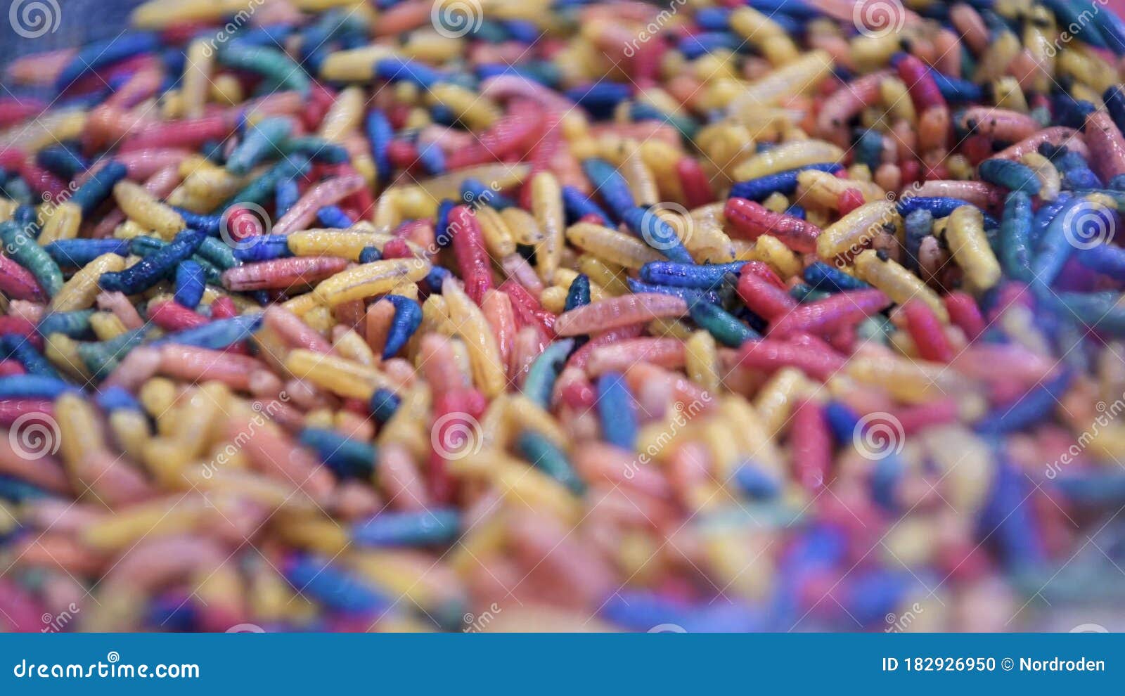 Small Multi-colored Worms for Fishing. Larvae Move and Crawl Stock Footage - Video of mixed ...