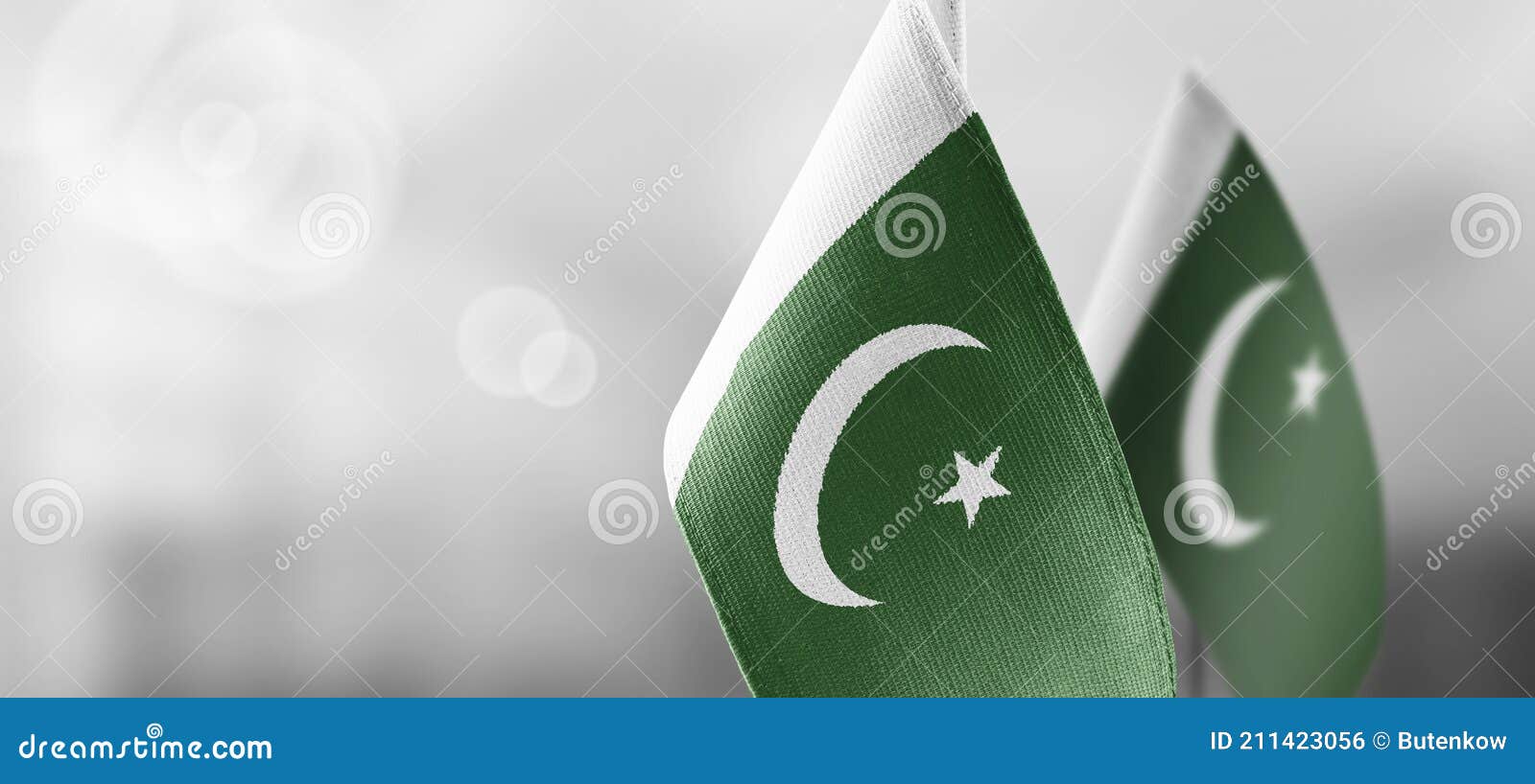 small national flags of the pakistan on a light blurry background