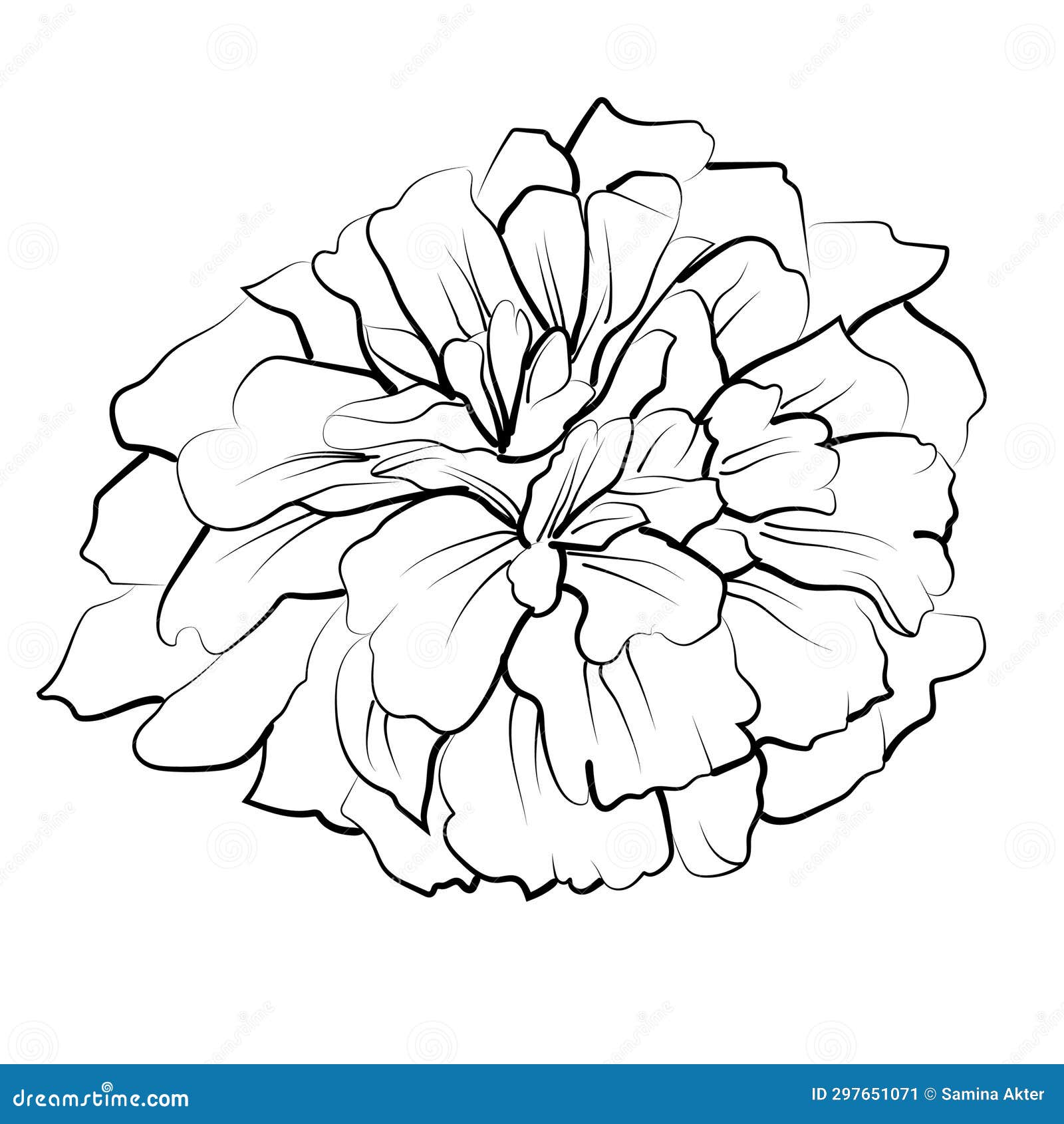 Small october birth flower tattoo, october flower tattoo black and white ~  Clip Art #252493927