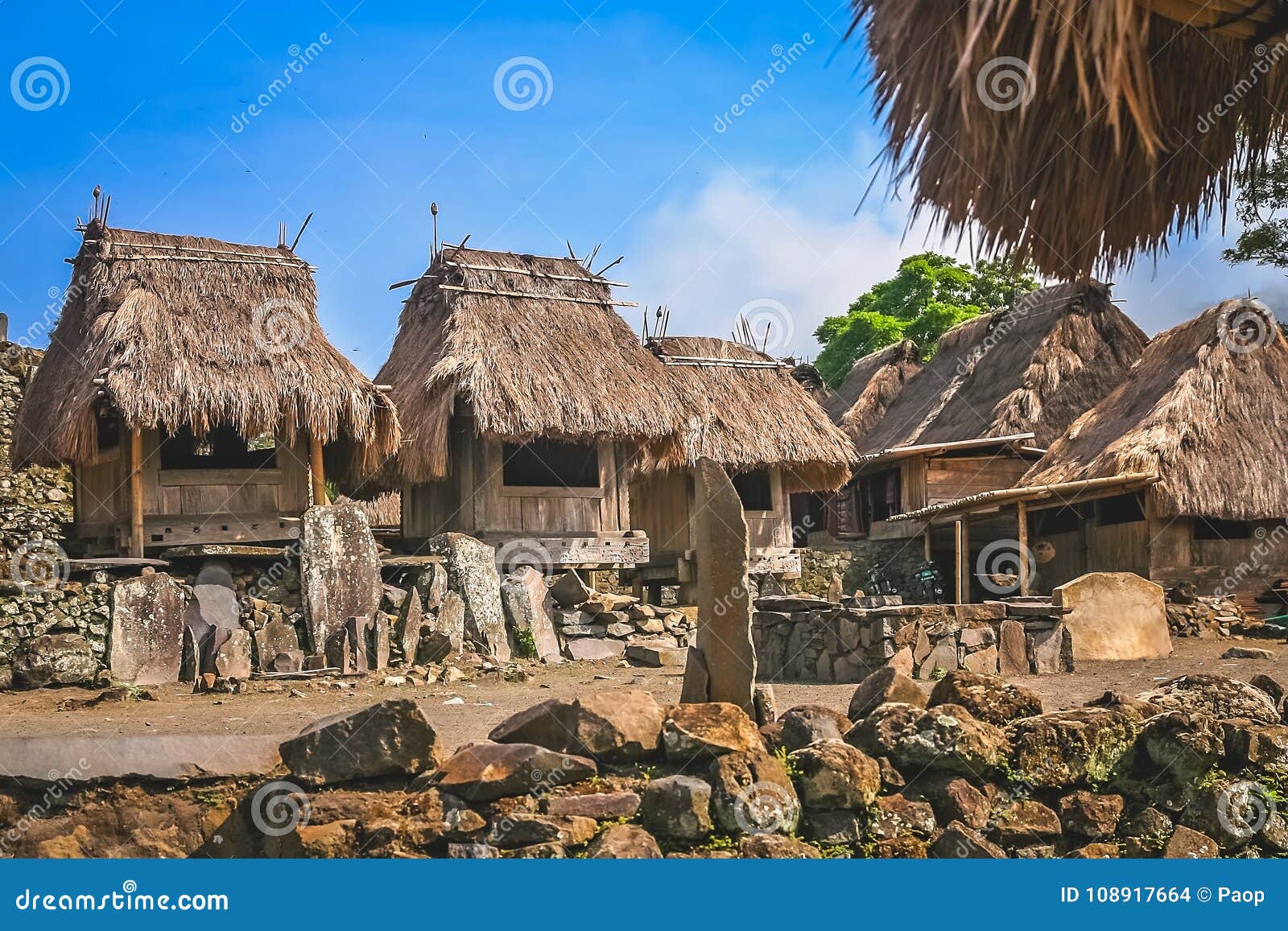 old wooden huts in bena village