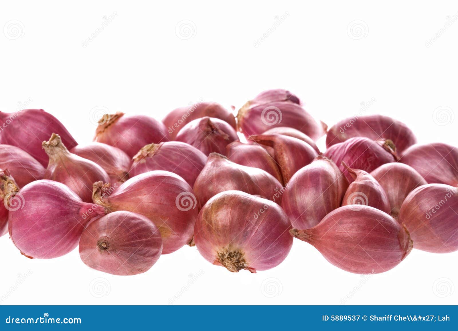 Small Onions Isolated stock image. Image of nutrition 5889537