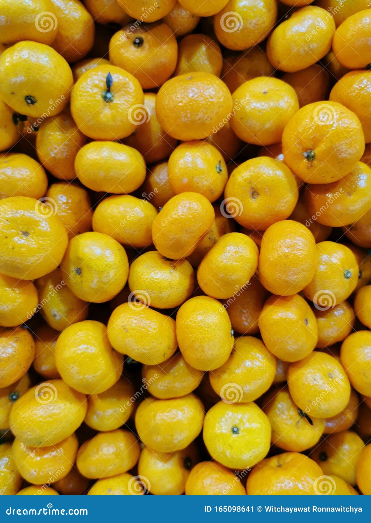 Small Oranges Are A Fruit Of A Small Species Lovely Shape Delicious