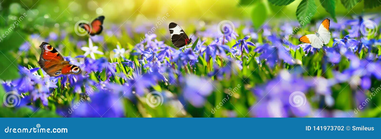 small paradise with spring flowers and butterflies