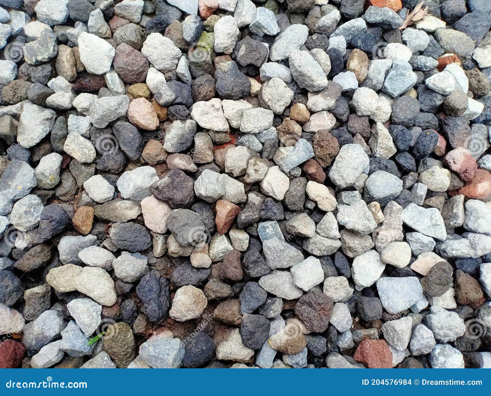 Small pebbles on the lawn stock photo. Image of small 204576984