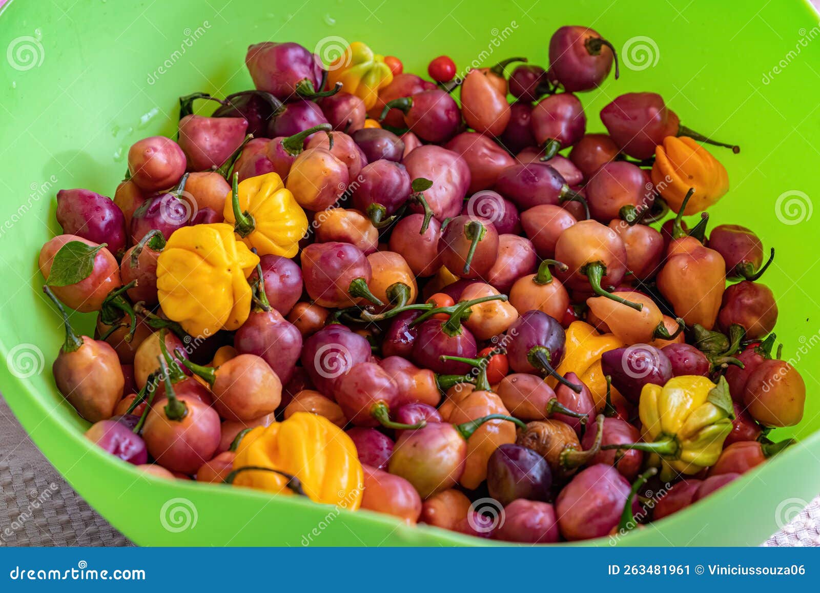 Small peppers fruits stock image. Image of yellow, vegetarian 263481961