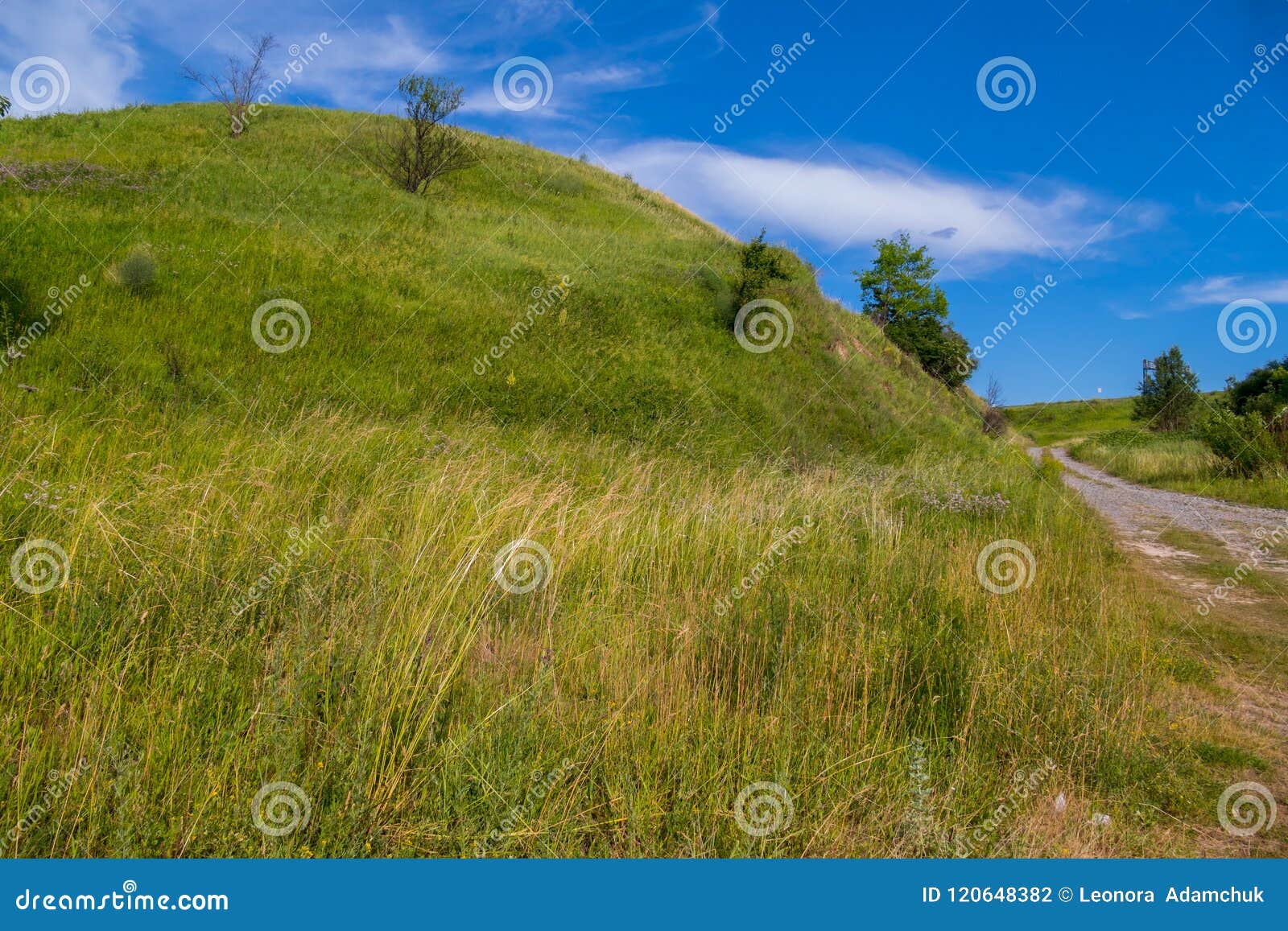 A Small Picturesque Hillock Covered with Green Grass and Rare