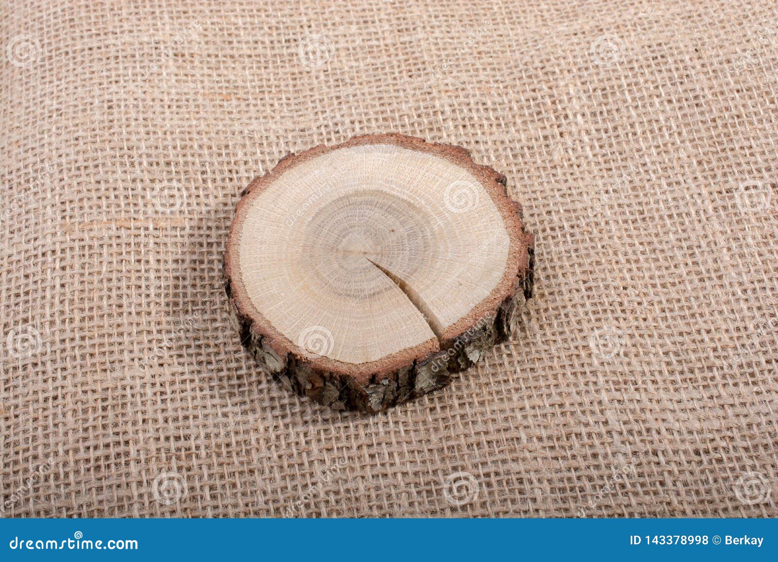 Small Piece of Cut Wood Logs Stock Photo Image of flora, plank 143378998