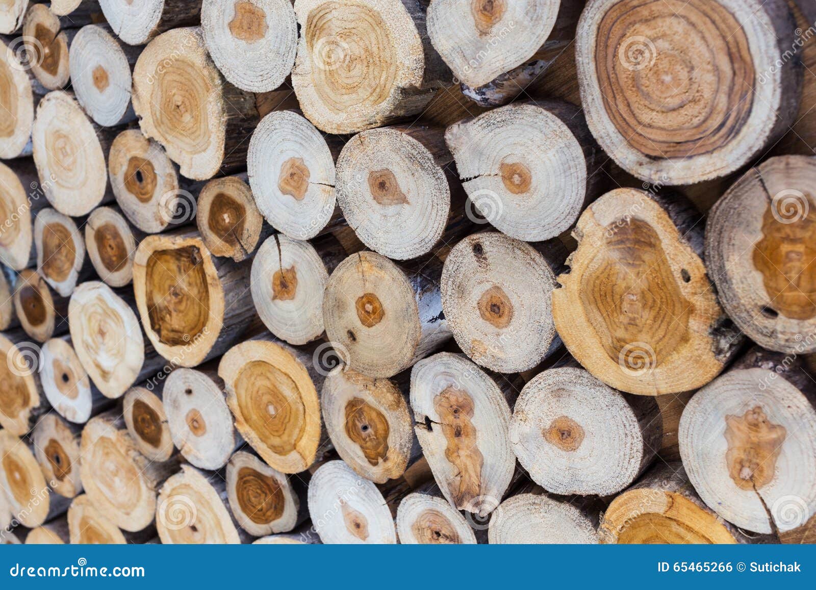Small Piece of Wood Logs Used for Design Decorated Interior Stock Photo