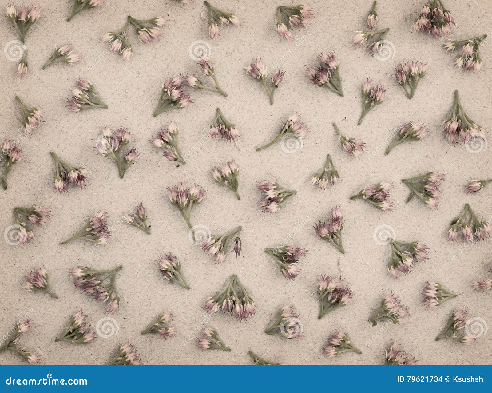 Small Pink Flowers on Gray Paper Stock Photo Image of craft, color
