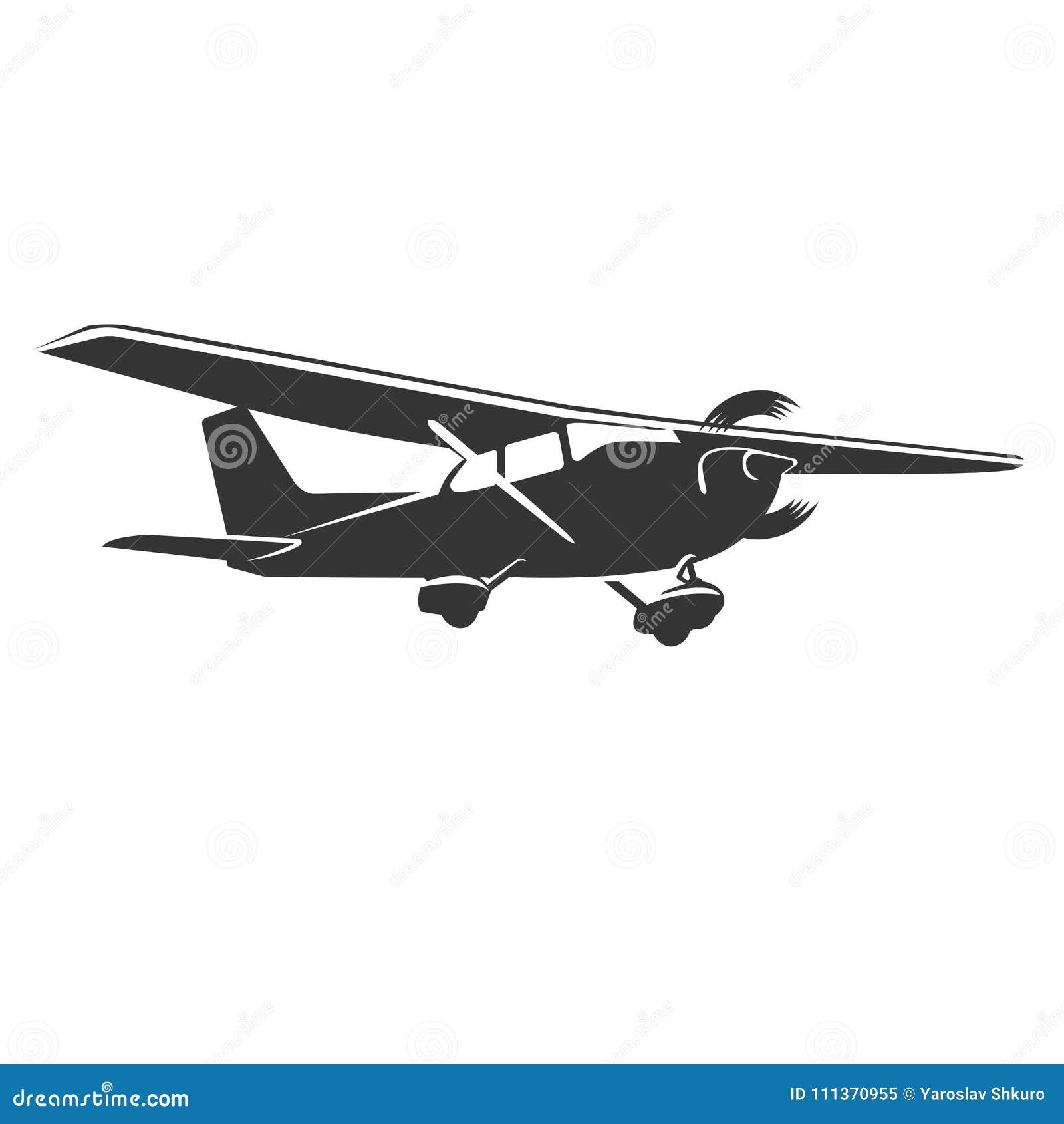 small plane  . single engine propelled aircraft.