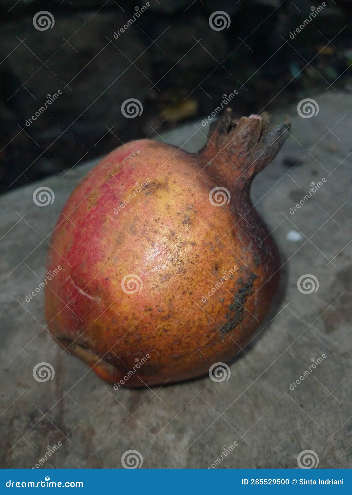 Small Pomegranate Fruit with a Pinkorange Color Stock Photo Image of