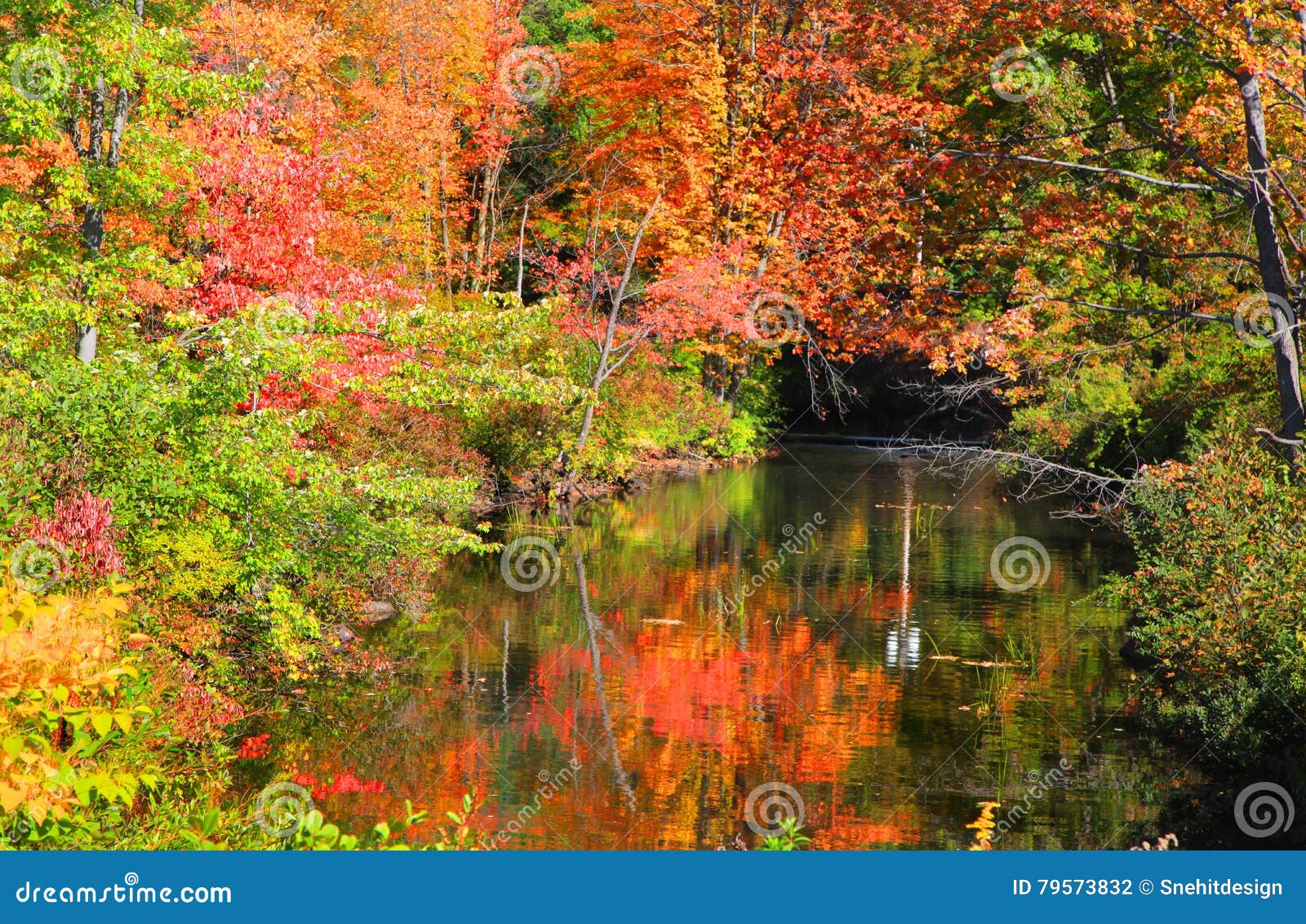 Small pond in New England stock photo. Image of outdoors 79573832
