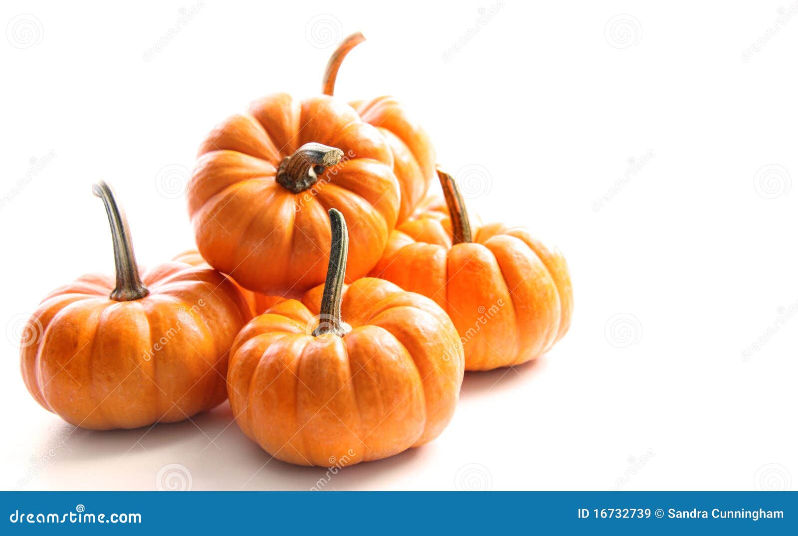 small pumpkins on white on white