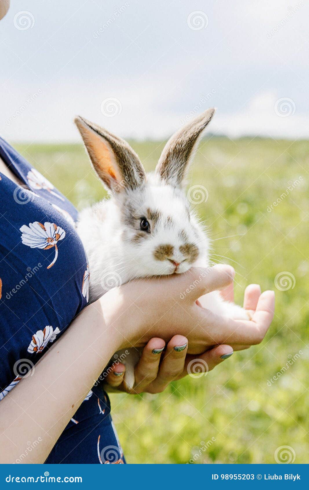 little rabbit, black and white suit, a bunny eating a green gras