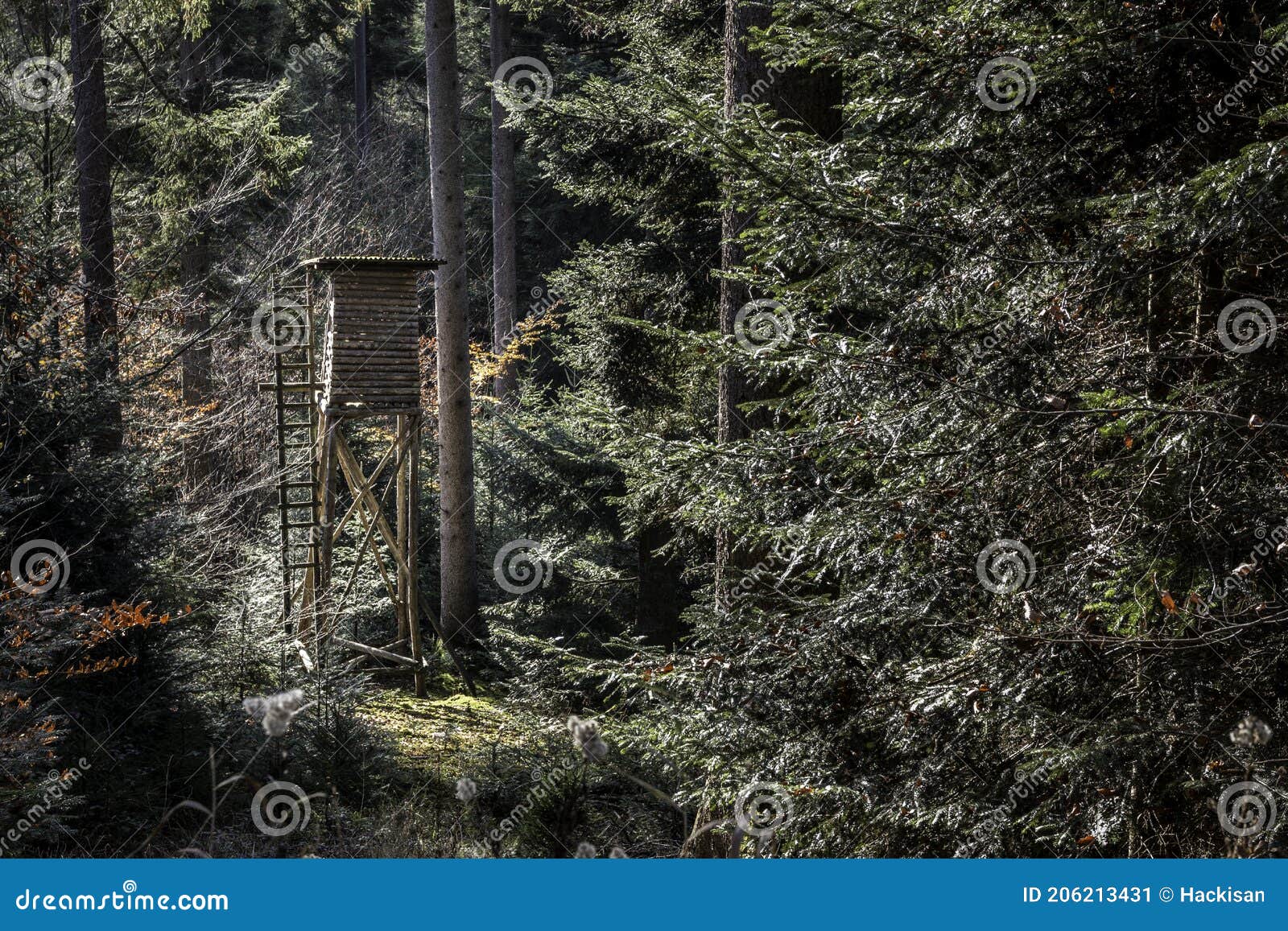 small raised hide for hunting in the middle of the forest