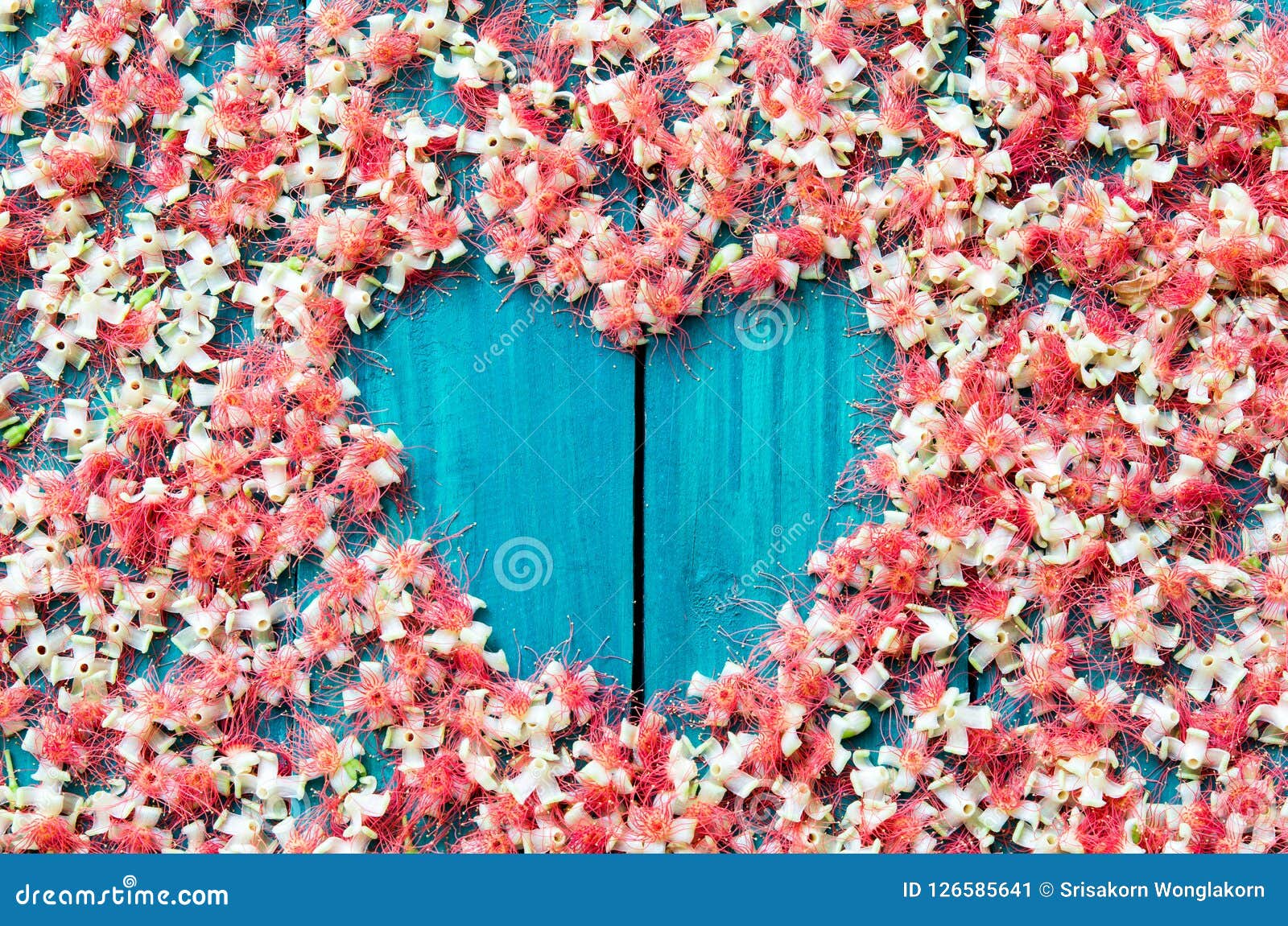 falling hearts flower falling hearts flower