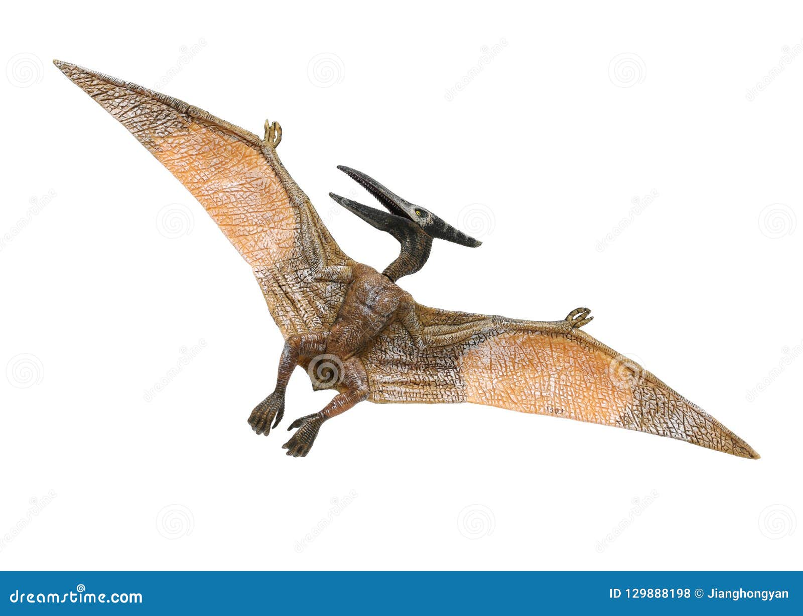 A Small Red And Yellow Pterodactyl Toy Front And Back Looking To Its Left Stock Photo - Image of