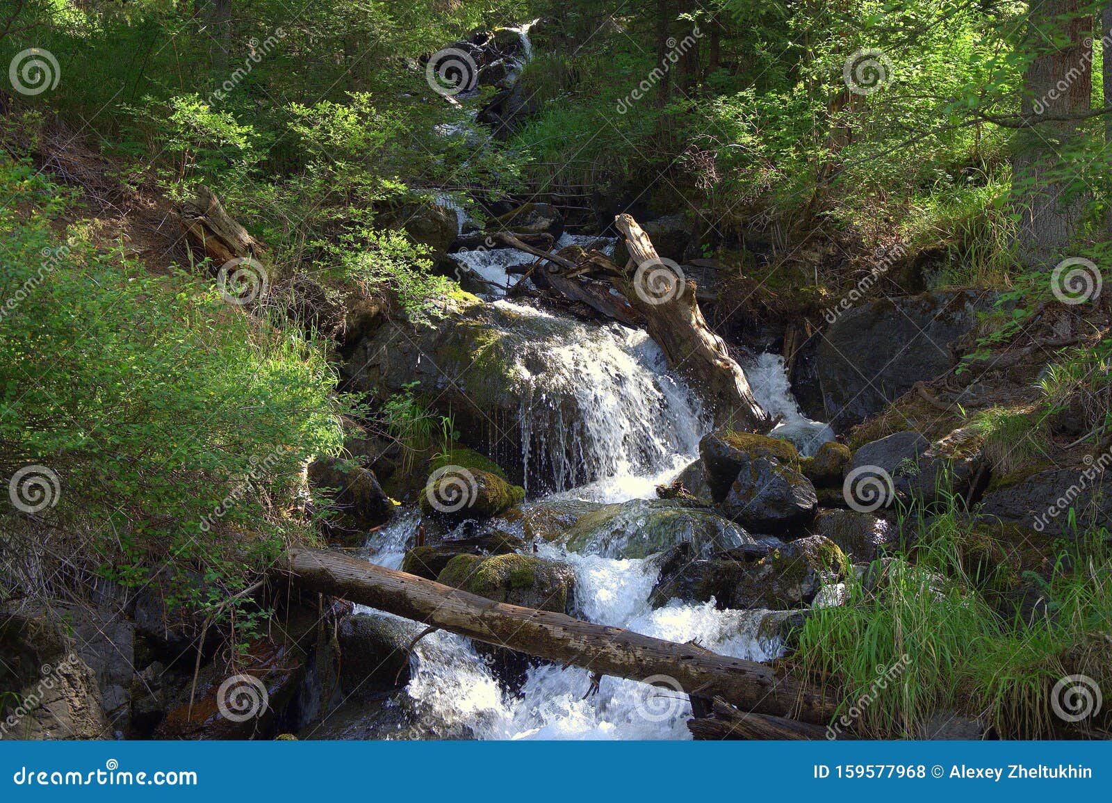 A Small River Bending Around Fallen Trees Flows From The Mountains