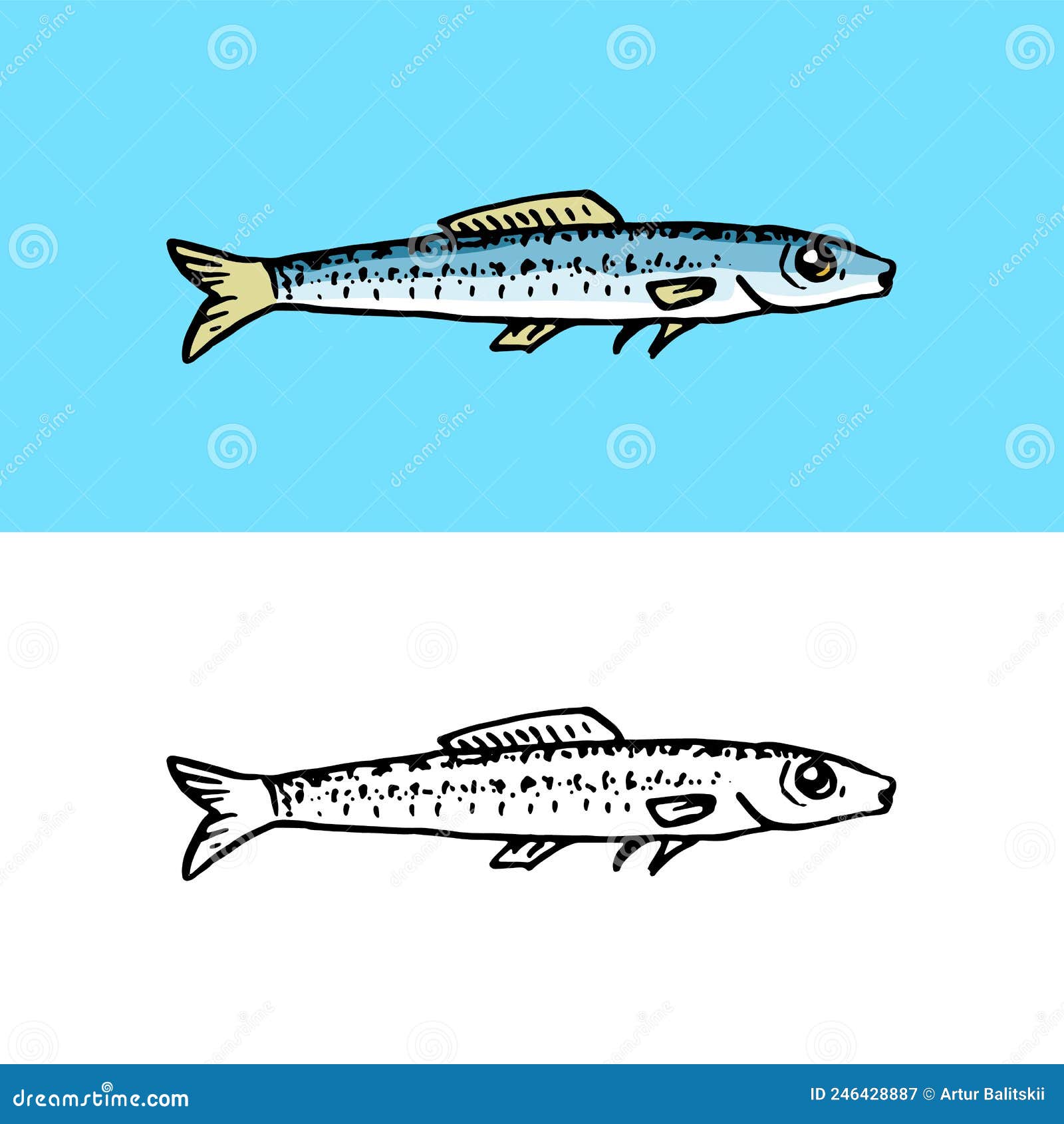 Small River Fish. Herring. Hand Drawn Sketch in Vintage Doodle Style. Stock  Vector - Illustration of fishing, object: 246428887