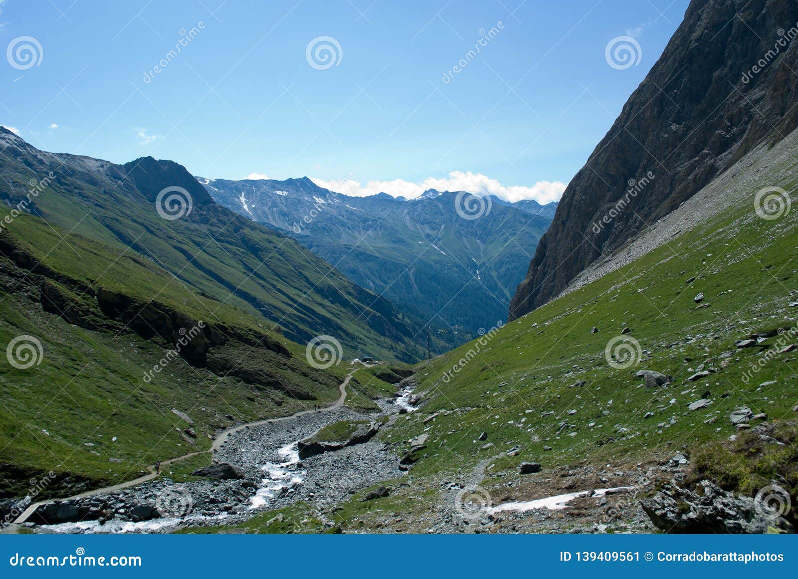 a small river from melting snow