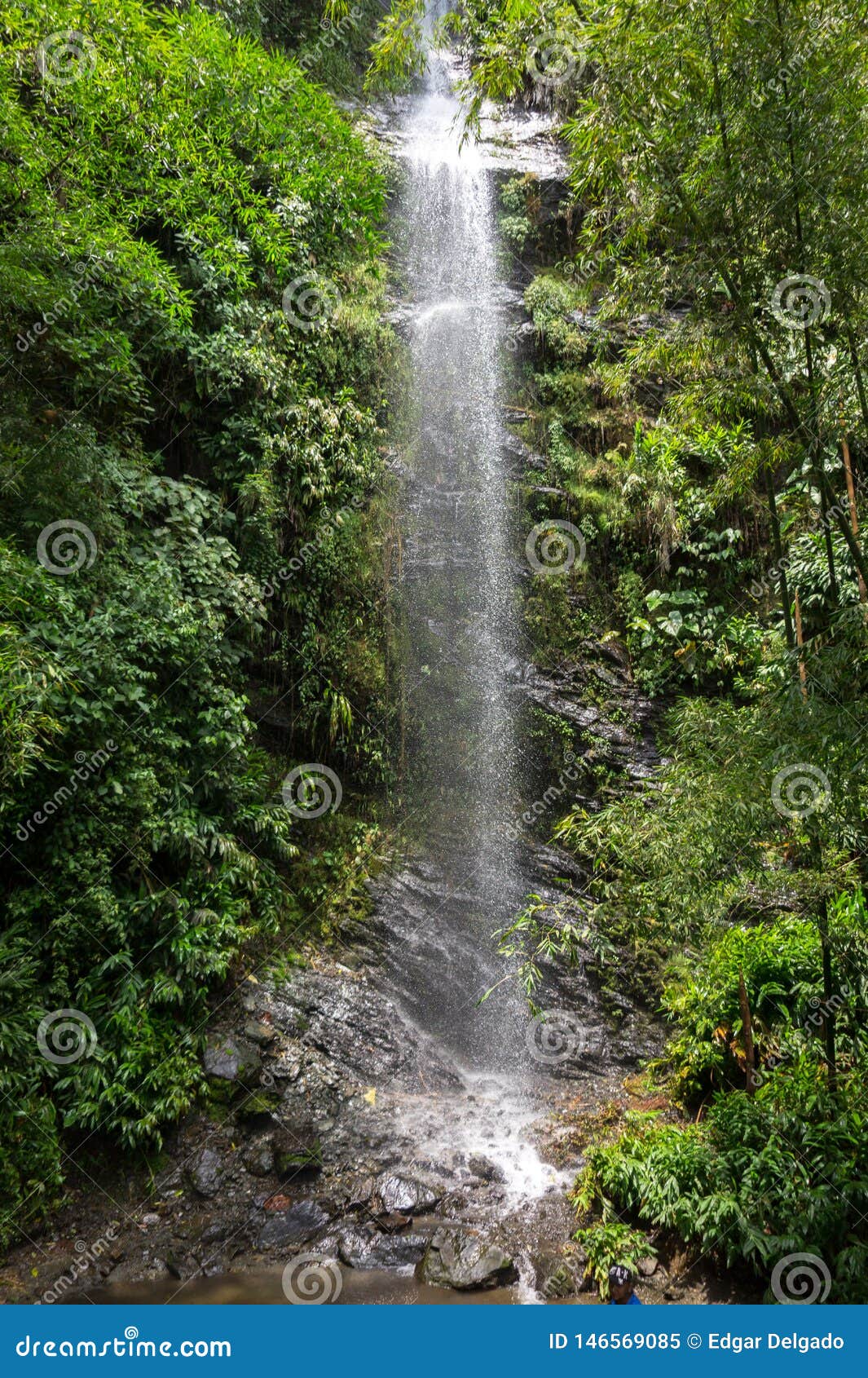 small river in quindio, colombia.