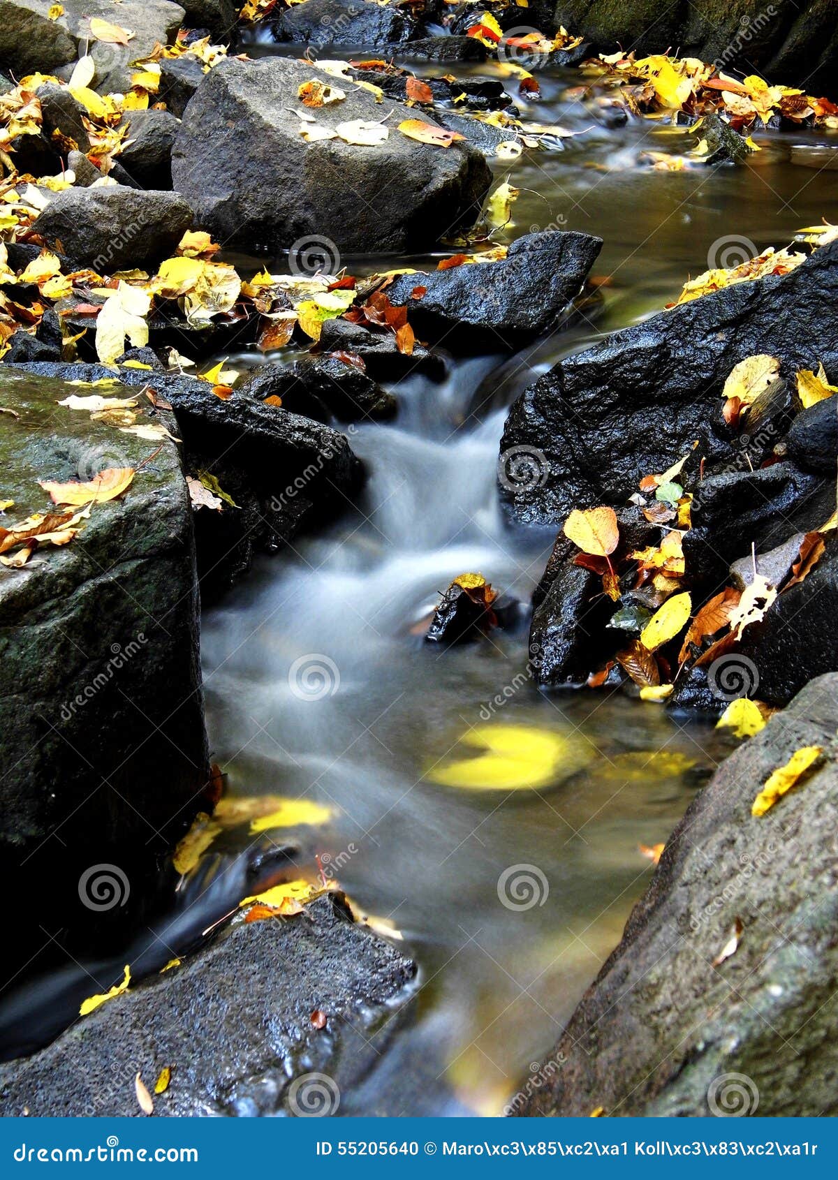 Small Rivulet in Nova Bana, Slovakia Stock Photo Image of water
