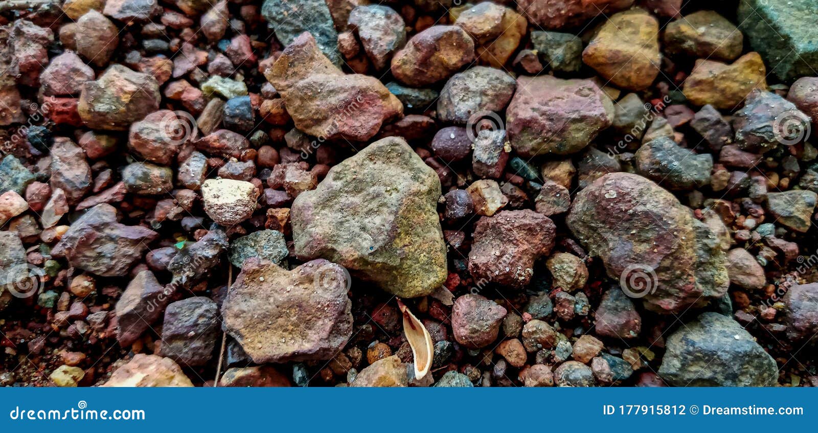 Small rocks in my garden stock photo. Image of blue - 177915812