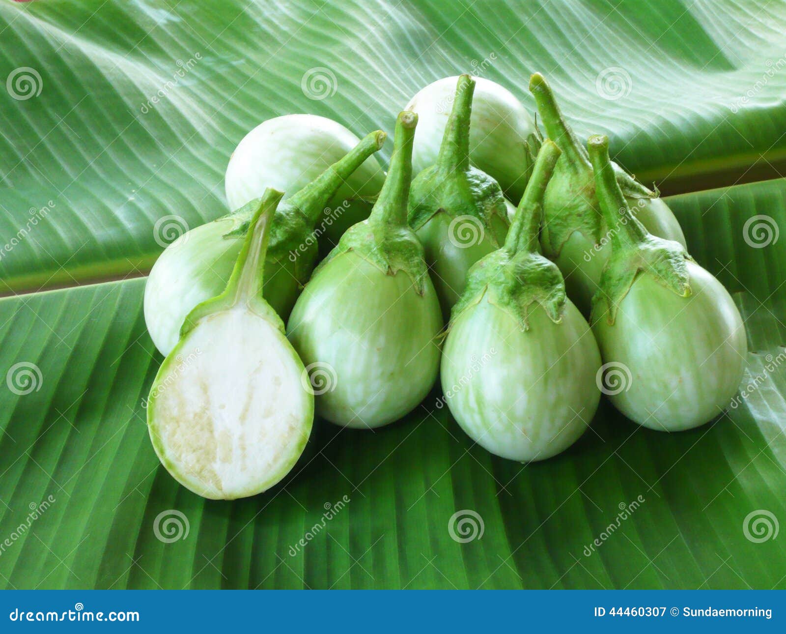 Small round green eggplant stock image. Image of fruit 44460307