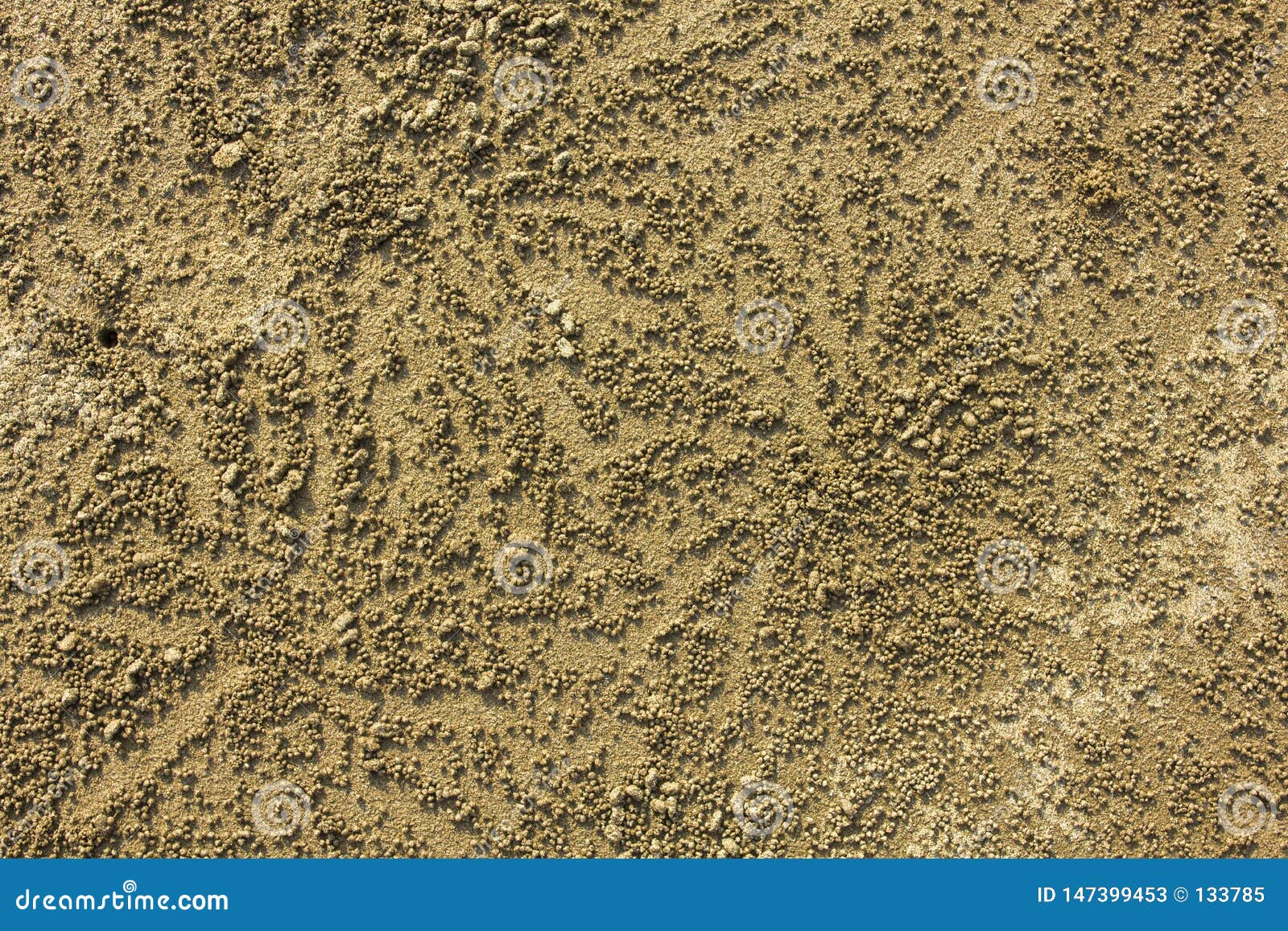 Small Round Sand Balls with Shadows Near a Hole of Crabs in the Sand ...