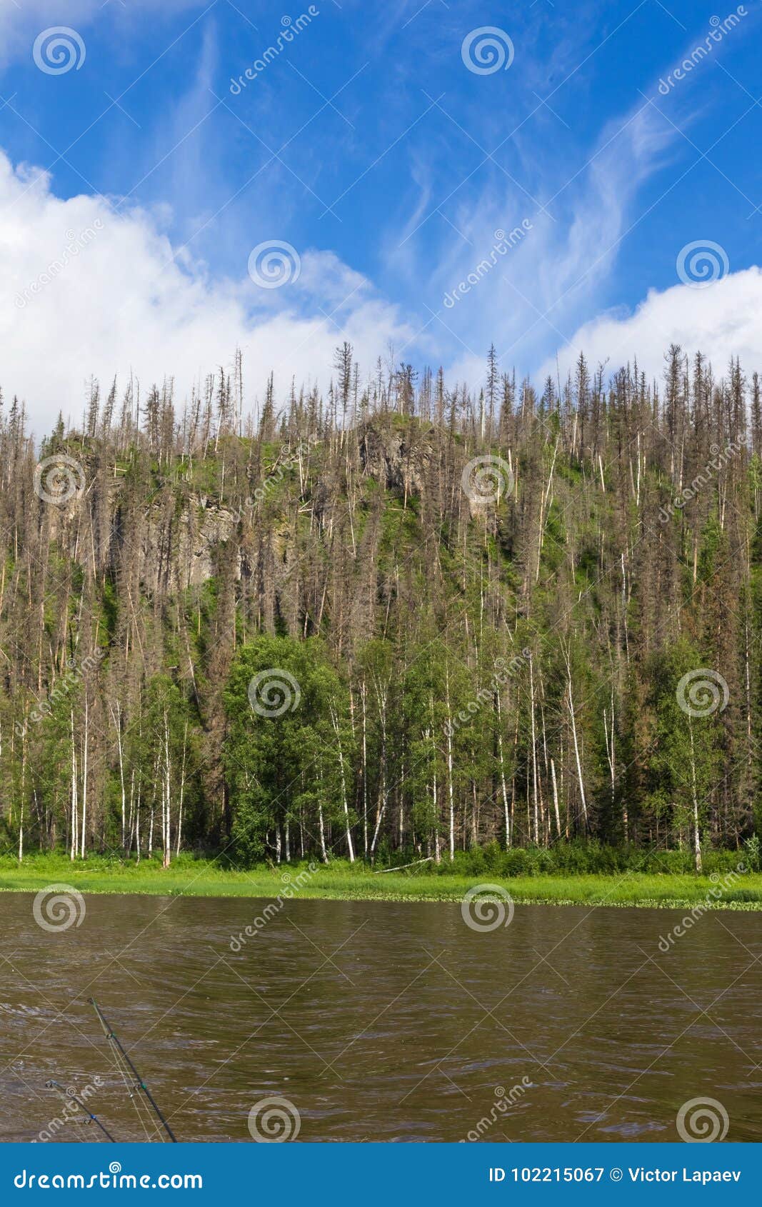 A Small Cliffs On Shore Of River Krasnoyarsk Region Russia Stock