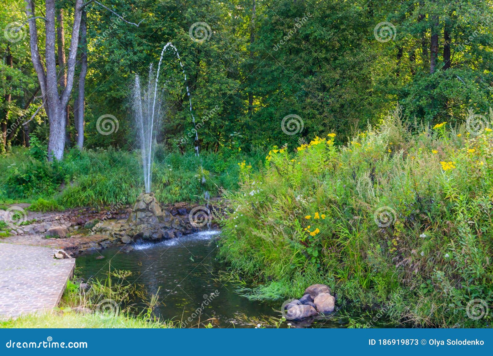 Small Simple Fountain in Green Park at Summer Stock Image Image of