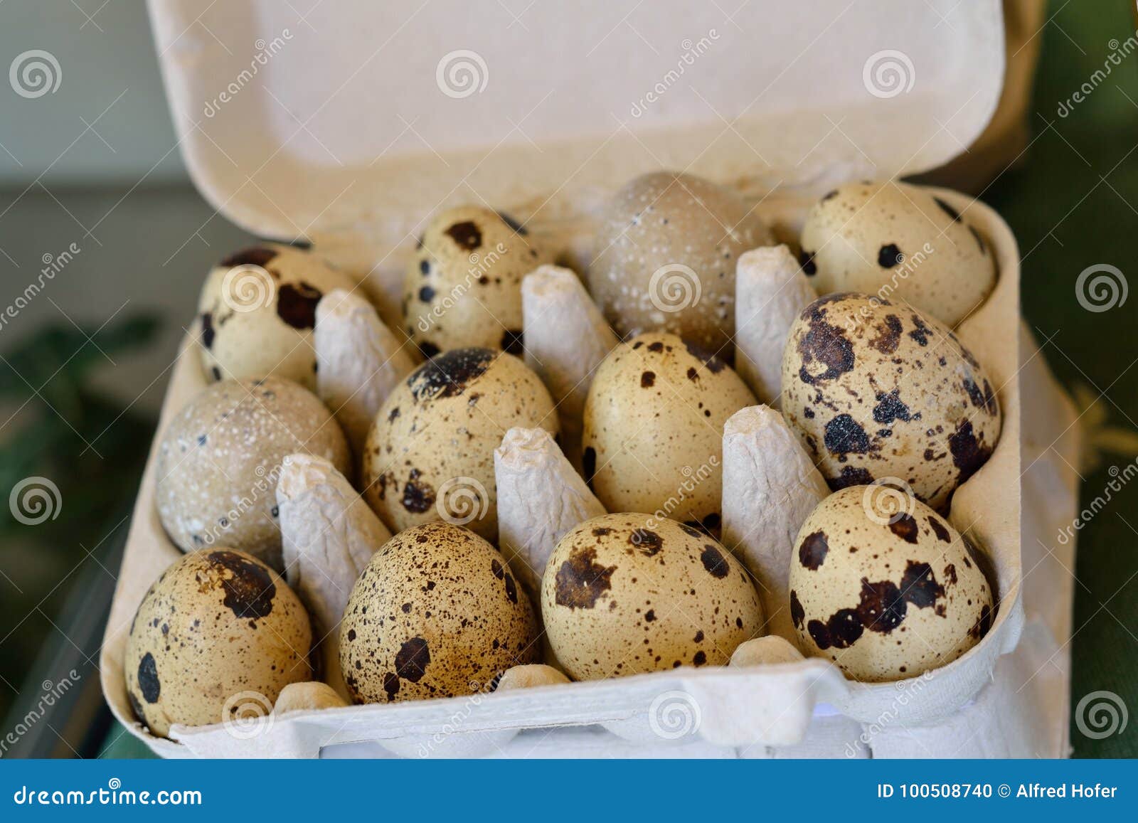 Small spotted quails eggs stock photo. Image of aliment 100508740