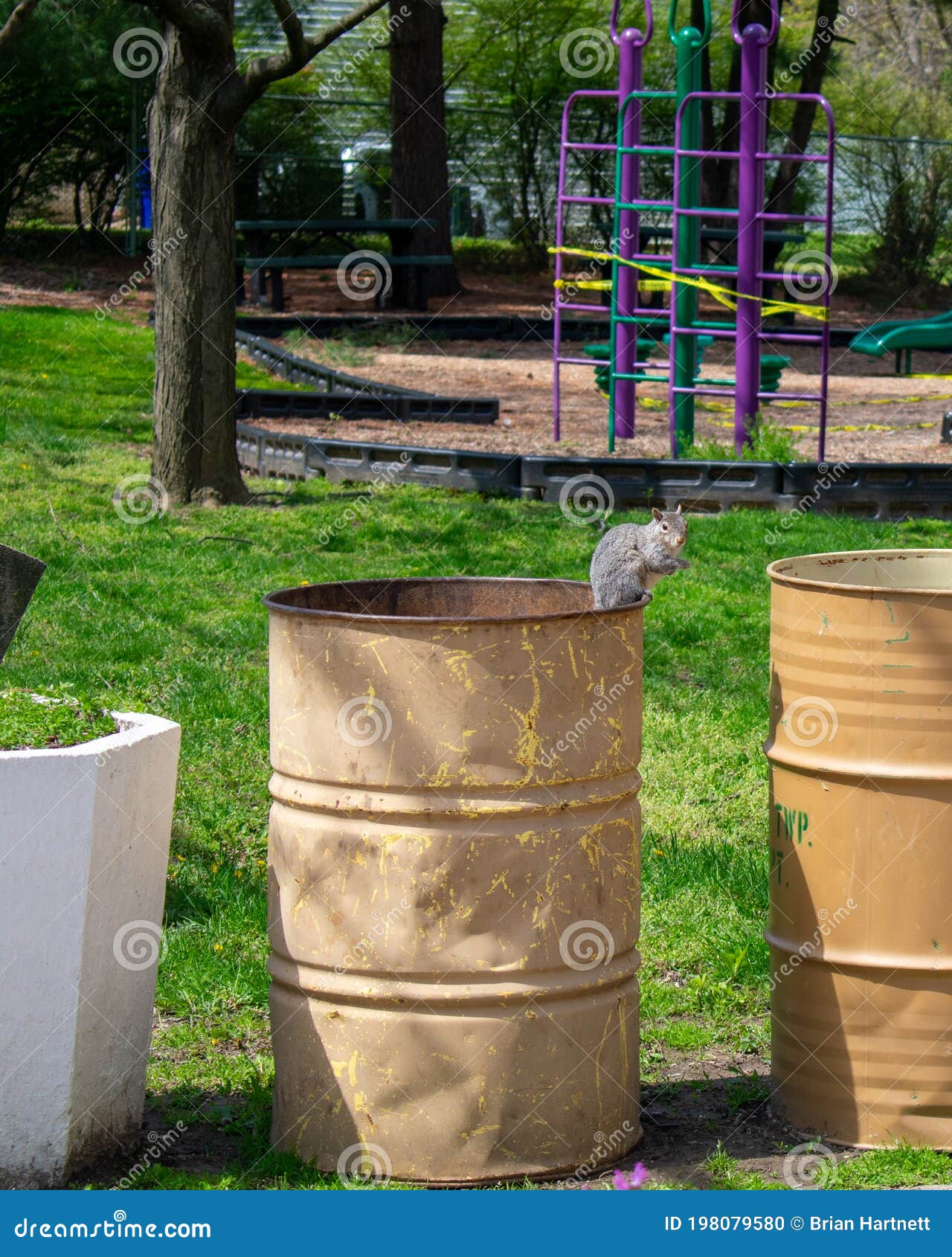 Disinfect Trash Can Stock Photos Free & RoyaltyFree Stock Photos