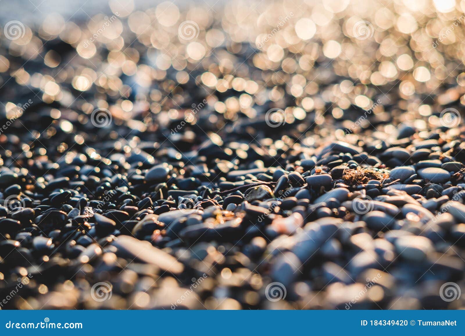 Small Stones by the Sea with Bokeh Effect. Blurred Decorative Background, Place for Text Stock Photo - Image of space, summer: 184349420 Small Stones by the Sea with Bokeh Effect. Blurred Decorative Background, Place for Text Stock Photo - Image of space, summer: 184349420
