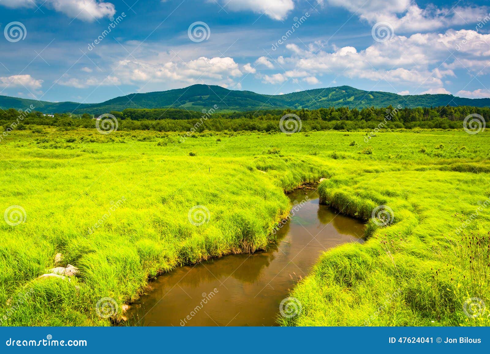 Small Stream and Distant Mountains at Canaan Valley State Park, Stock