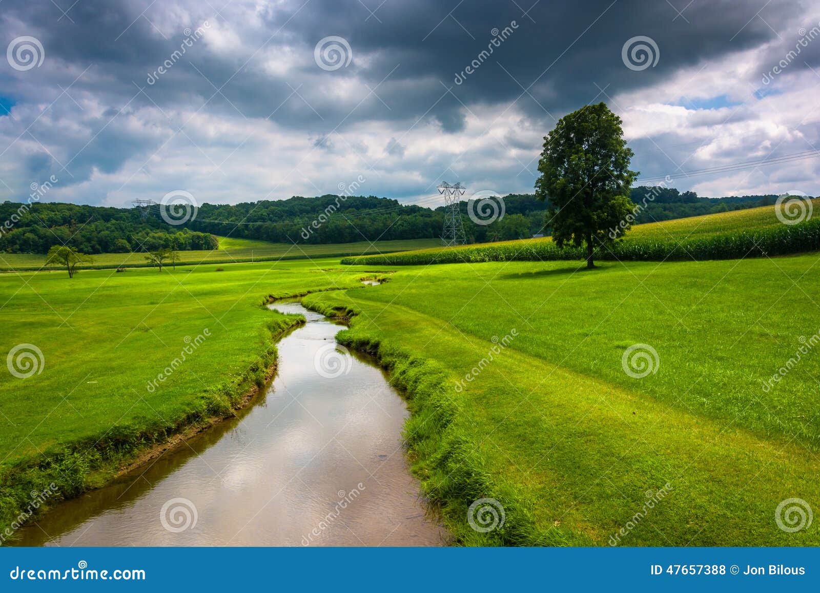 small stream in a farm field in rural carroll county, maryland.