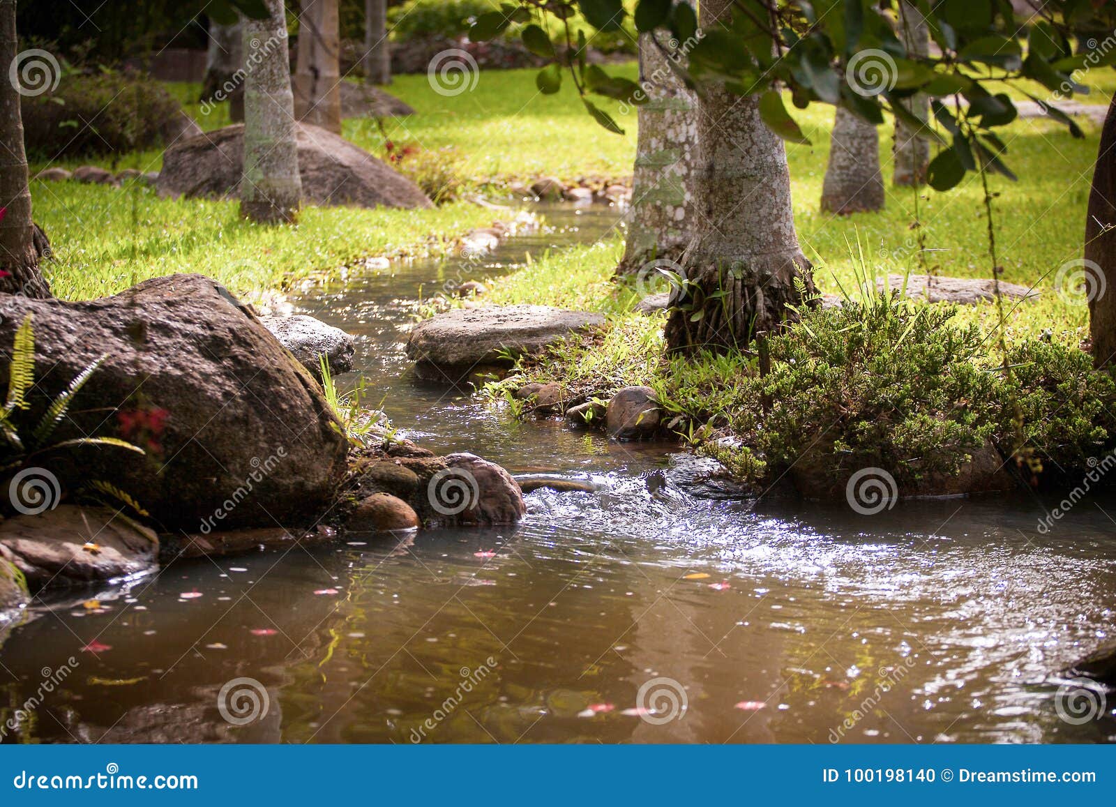Small stream in the garden stock photo. Image of stream 100198140