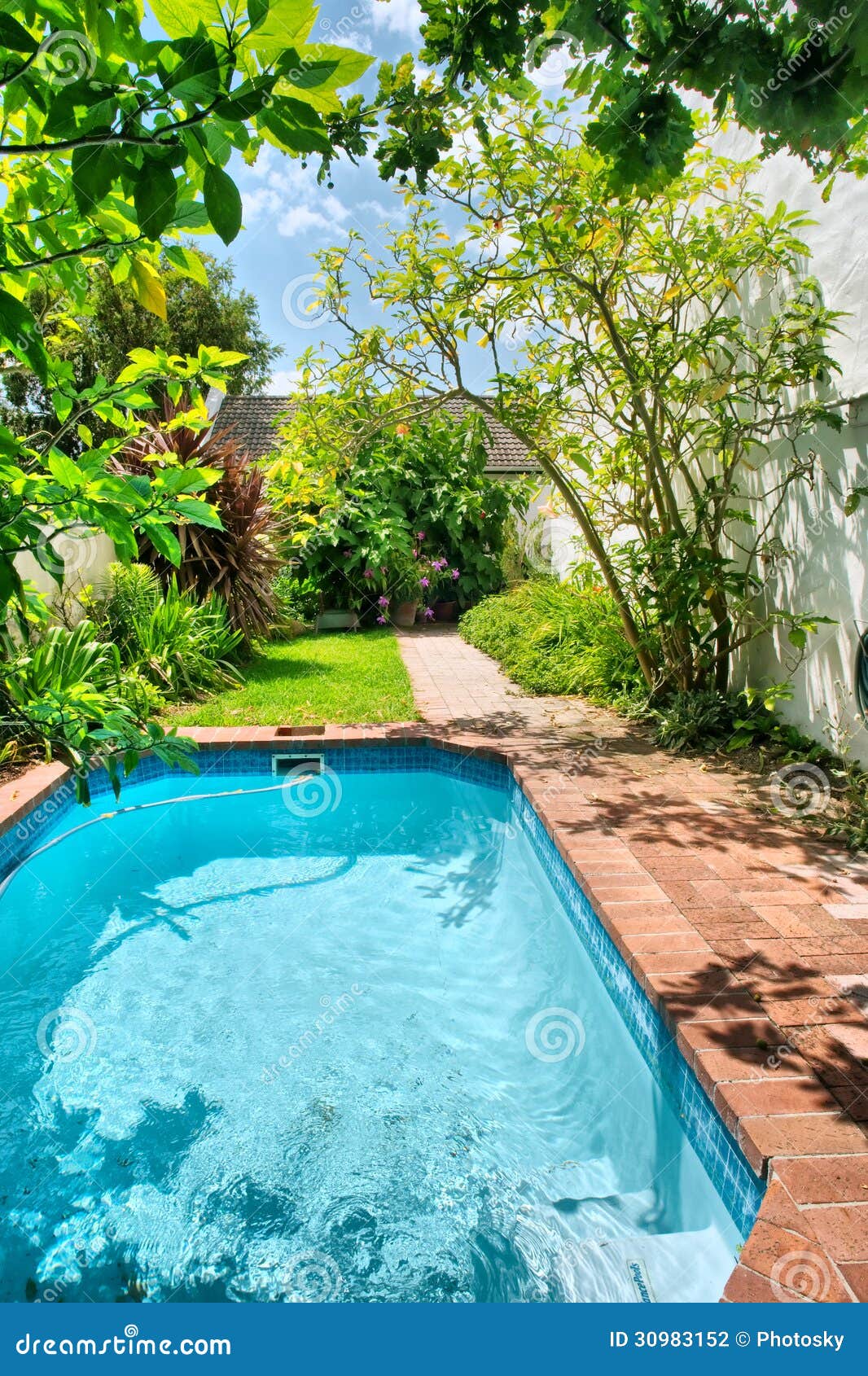 Small Swimming Pool And Garden Stock Photo - Image of african Small Swimming Pool And Garden Stock Photo - Image of african