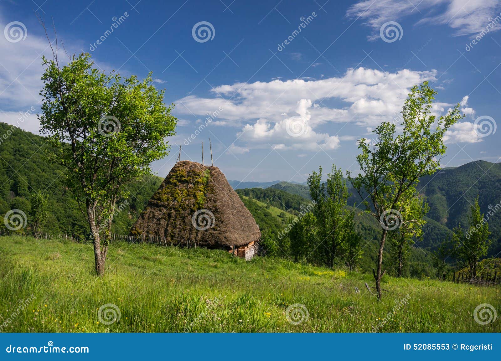 Small Thatched Cottage Royalty-Free Stock Photo | CartoonDealer.com ...