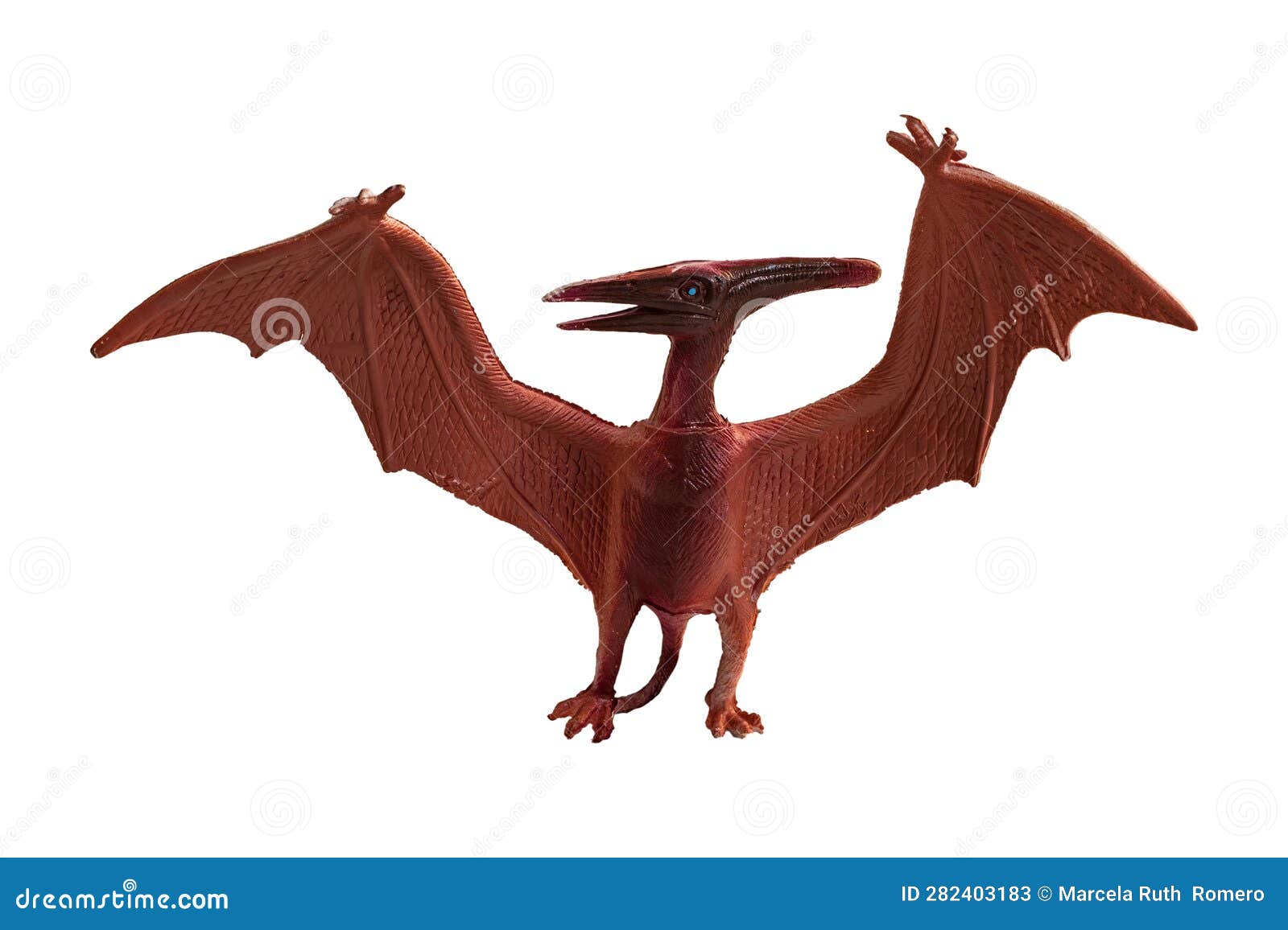 Pteranodon Pterodactyl Dinosaur on white background 8844204 PNG