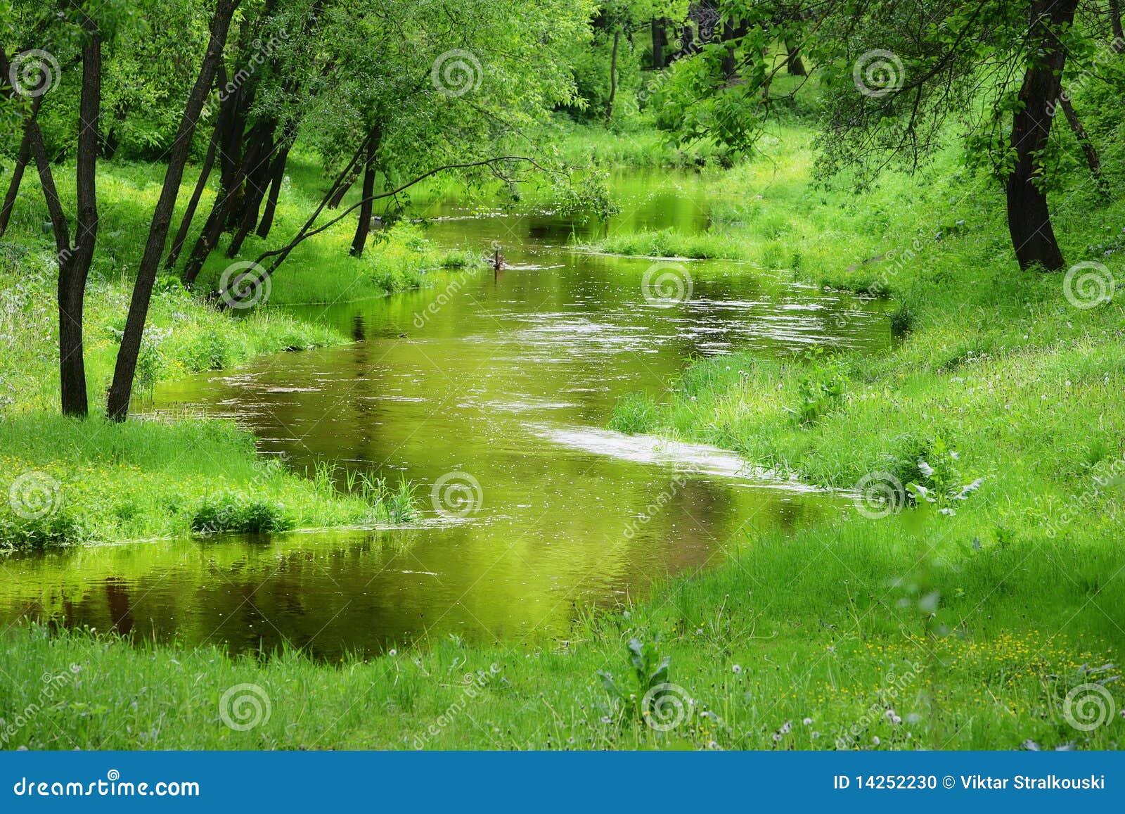 small tranquil river