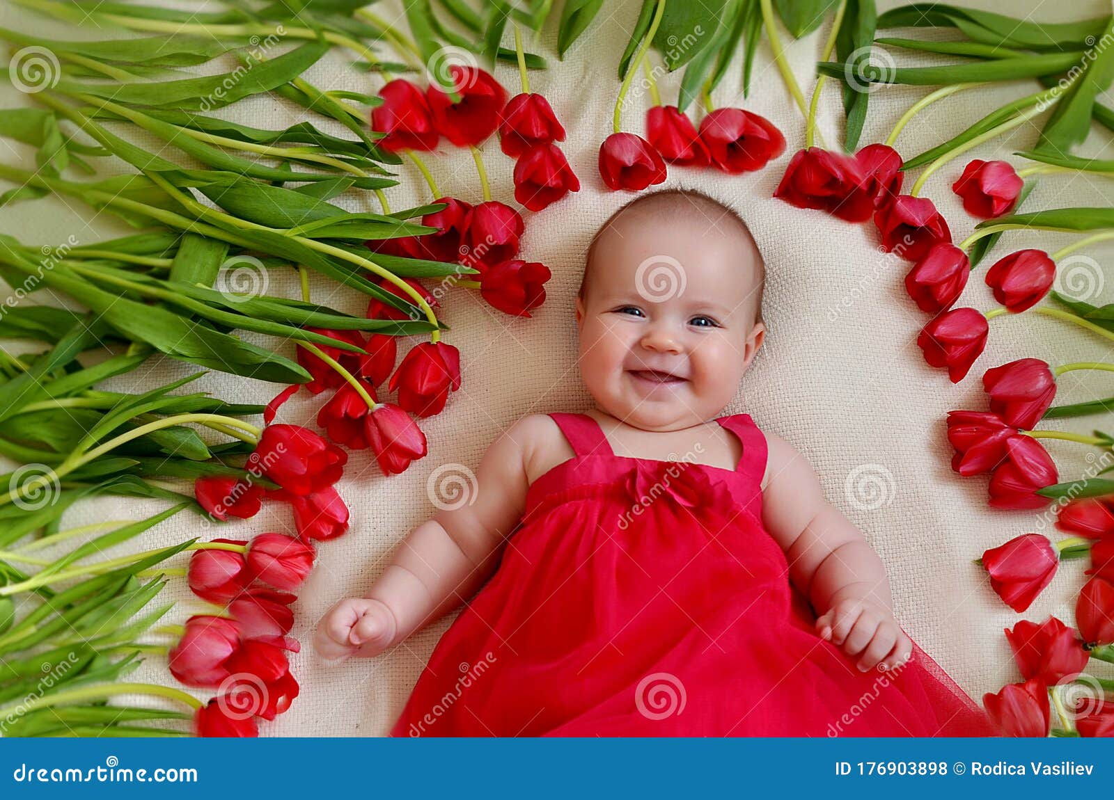 Cute Baby Girl with Flower Tulip Stock Photo - Image of sunny ...
