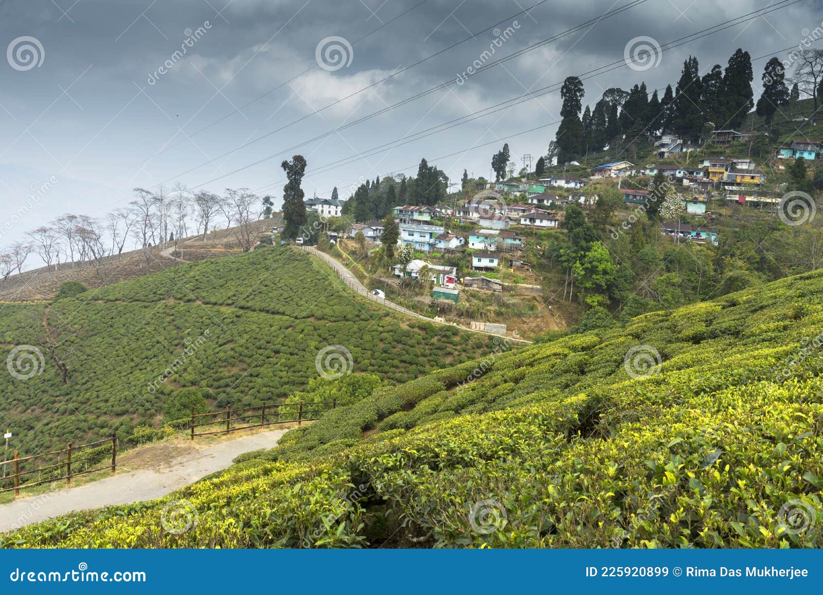 Darjeeling, West Bengal, India-05.26.2023. back view shot of tourists enjoying mountain and clouds in Darjeeling Stock Photo - Alamy