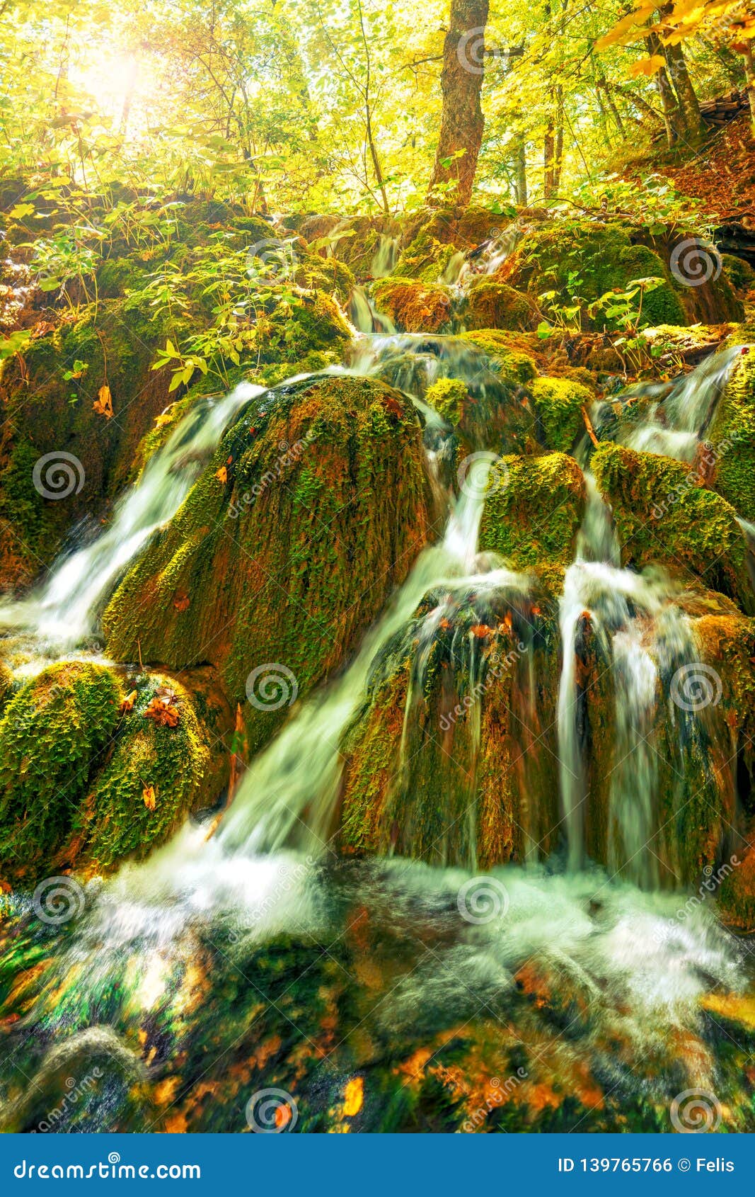 Small Waterfall In Autumn Forest Stock Photo Image Of Lakes Beauty