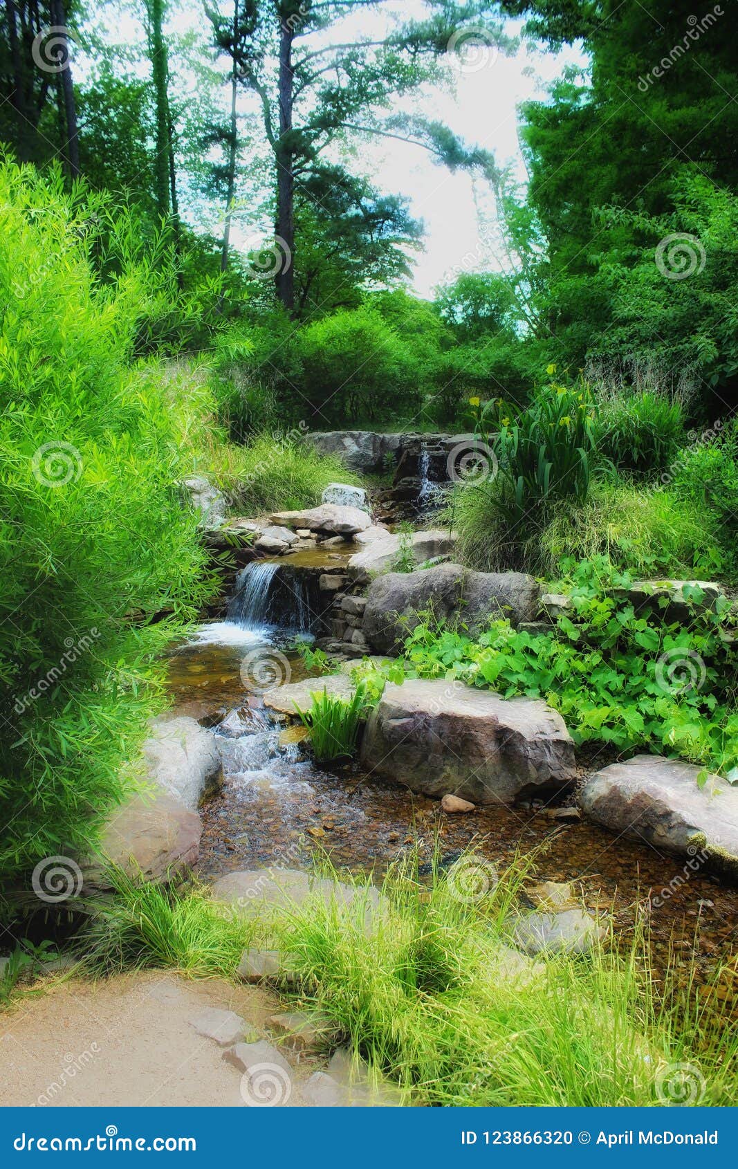 Botanical Gardens Stock Photo Image Of Waterfall Gardens 123866320