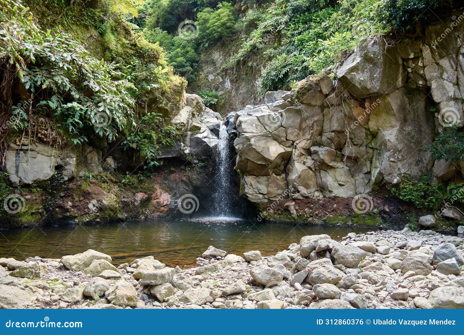 a small waterfall in the parque natural da ribeira dos caldeiroes, sao miguel, azores, portugal